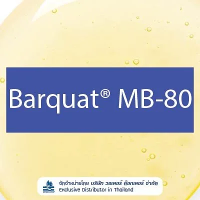 BARQUAT MB-80 สารลดแรงตึงผิว Cationic Surfactant และสารฆ่าเชื้อ (Benzalkonium Chloride / BKC 80%)