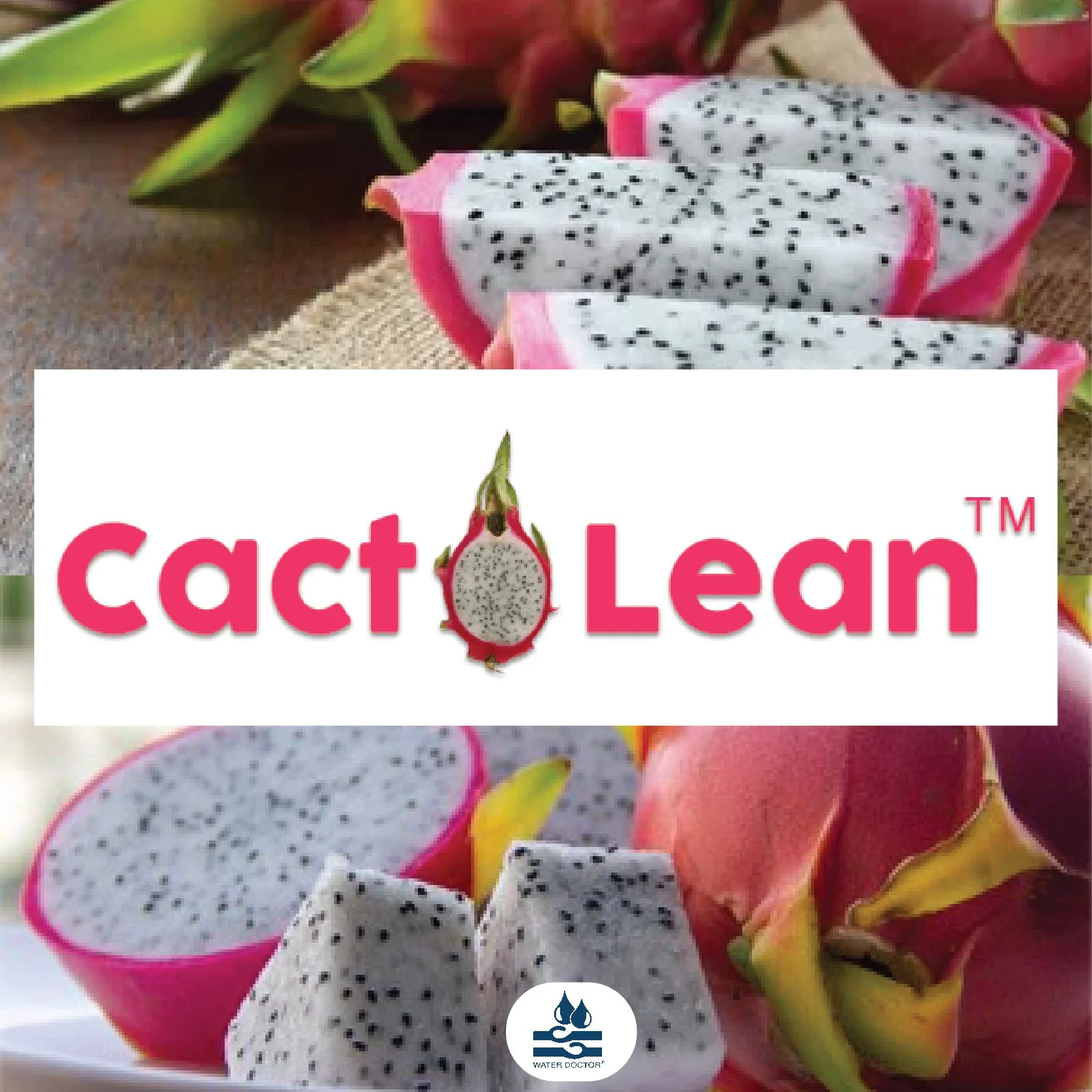 cactolean.jpg