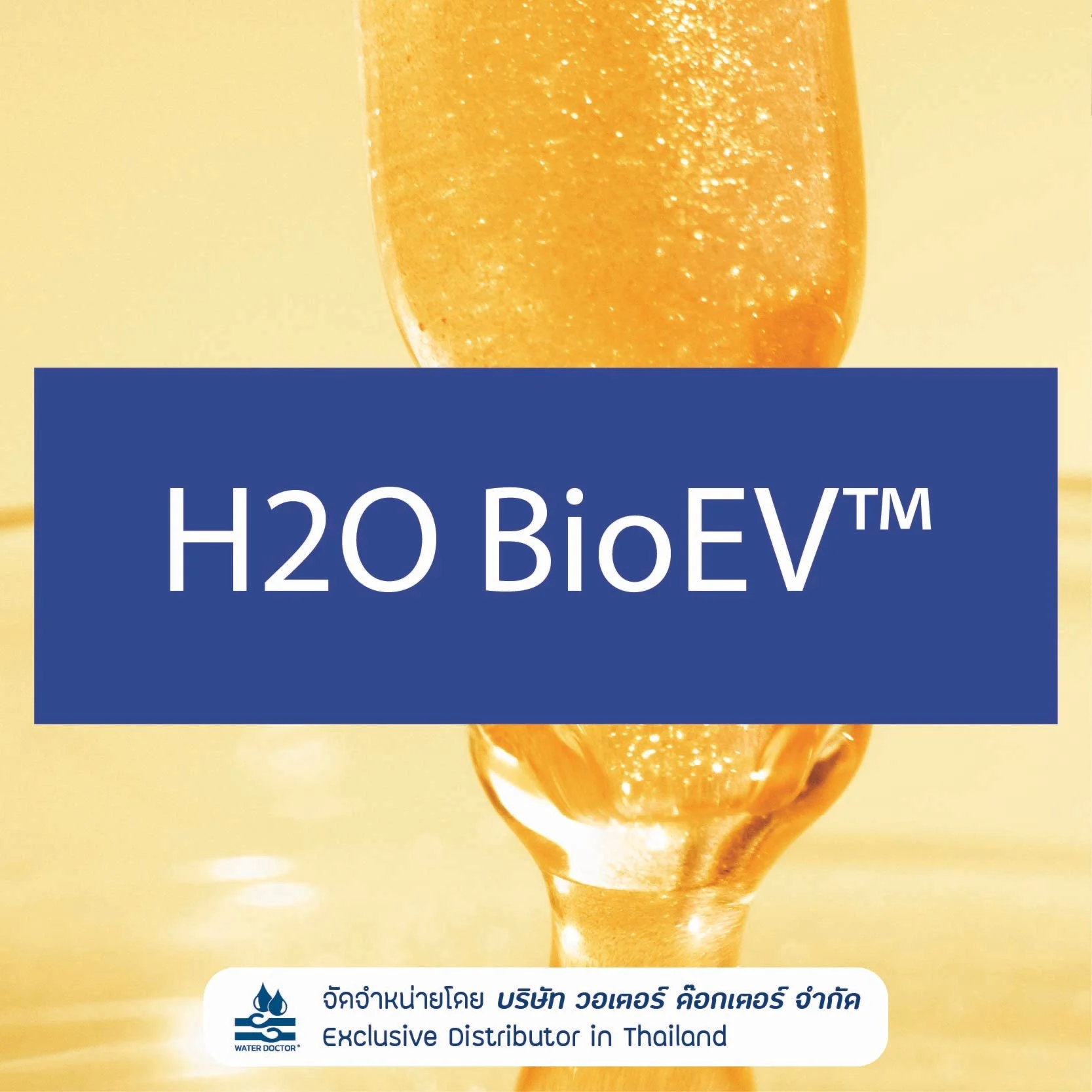 H2O BioEV วัตถุดิบช่วยดูแลผิว สร้างความชุ่มชื้น