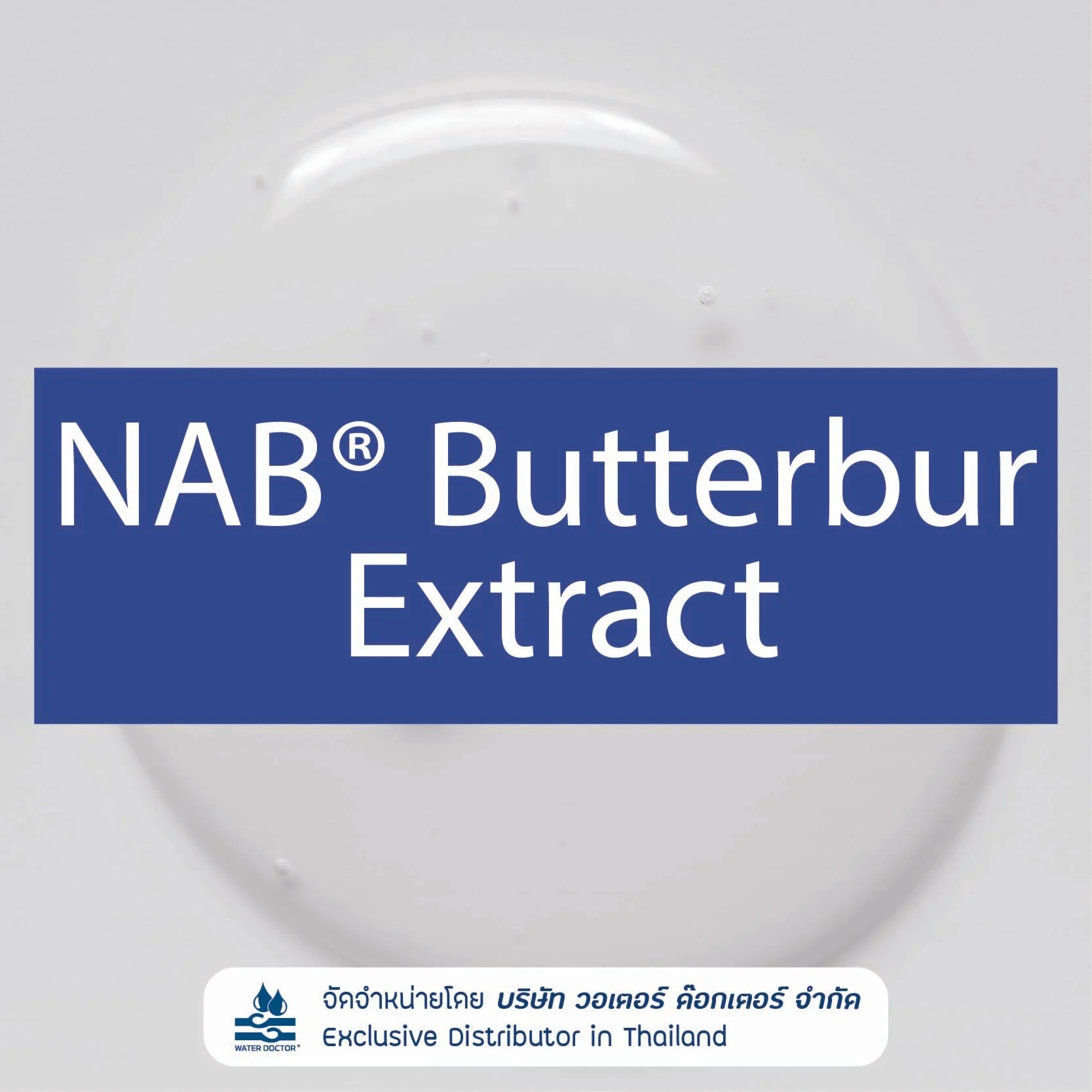 NAB Butterbur Extract สารสกัดจาก Butterbur (Petasites japonicus) Active Ingredient ในผลิตภัณฑ์ดูแลผิว