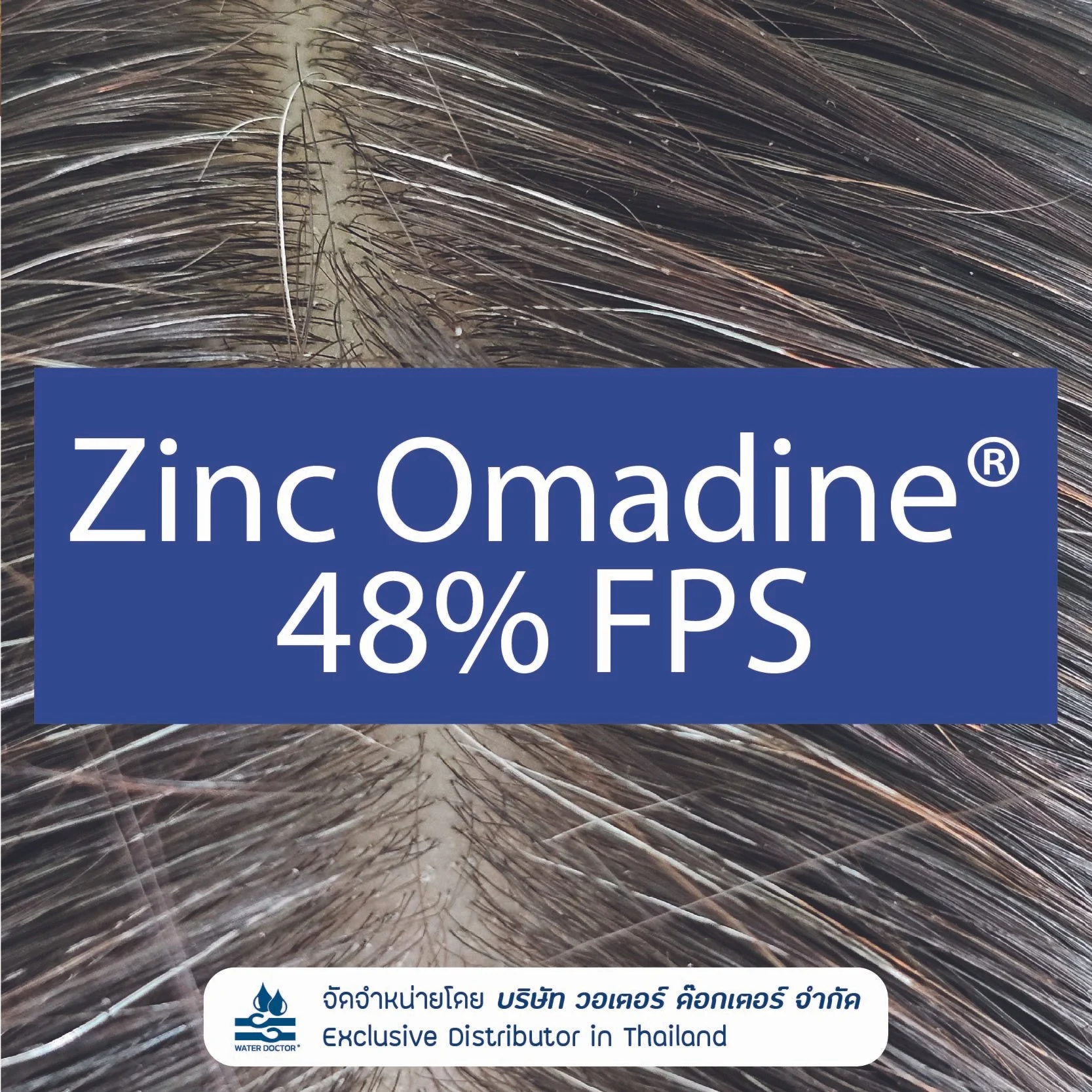 Zinc Omadine 48% FPS Cosmetic Grade ช่วยควบคุมจุลินทรีย์และเชื้อราที่เกี่ยวข้องกับรังแค