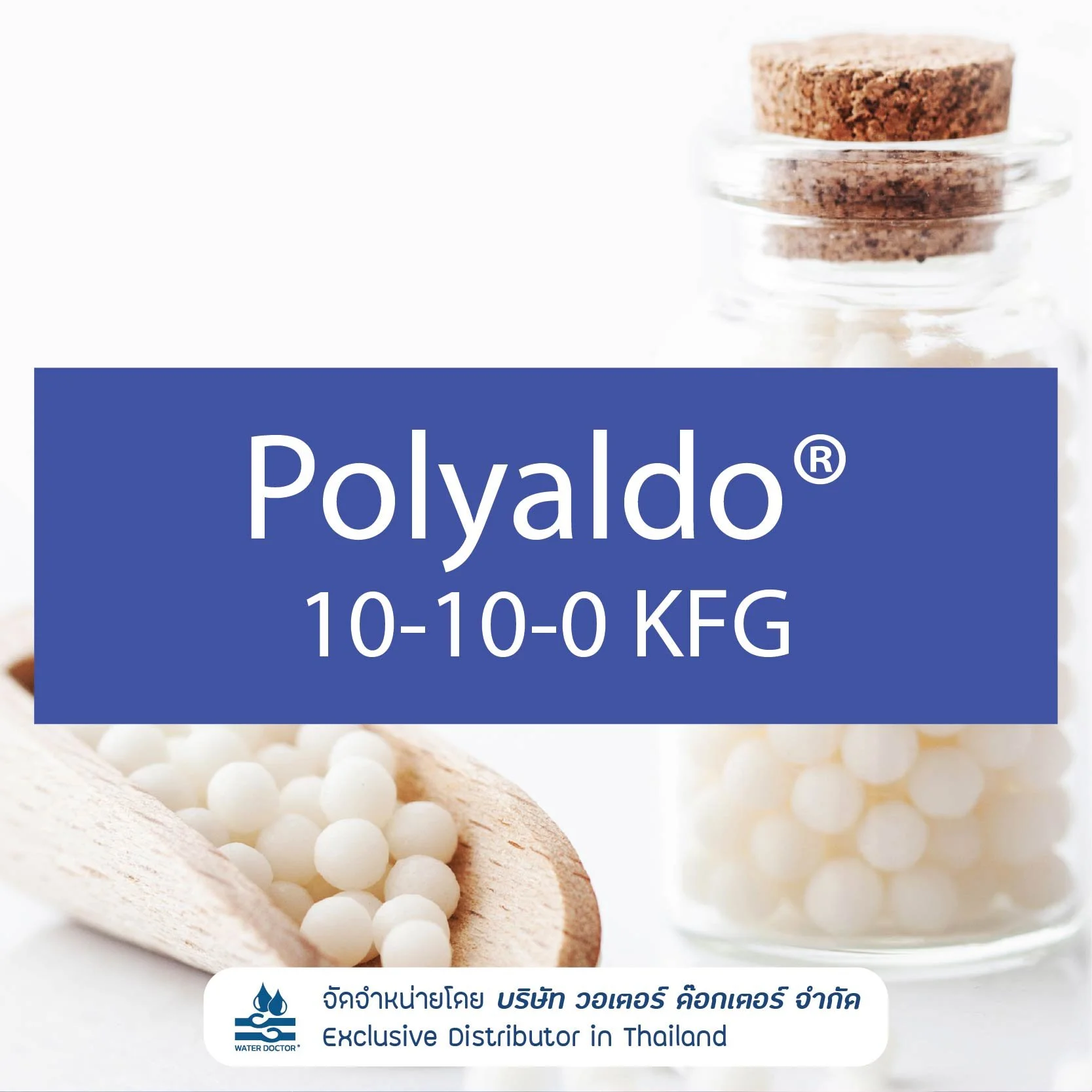 Polyaldo 10-10-0 KFG  อิมัลซิไฟเออร์จากธรรมชาติ เหมาะสำหรับผลิตภัณฑ์ดูแลผิวและเส้นผม