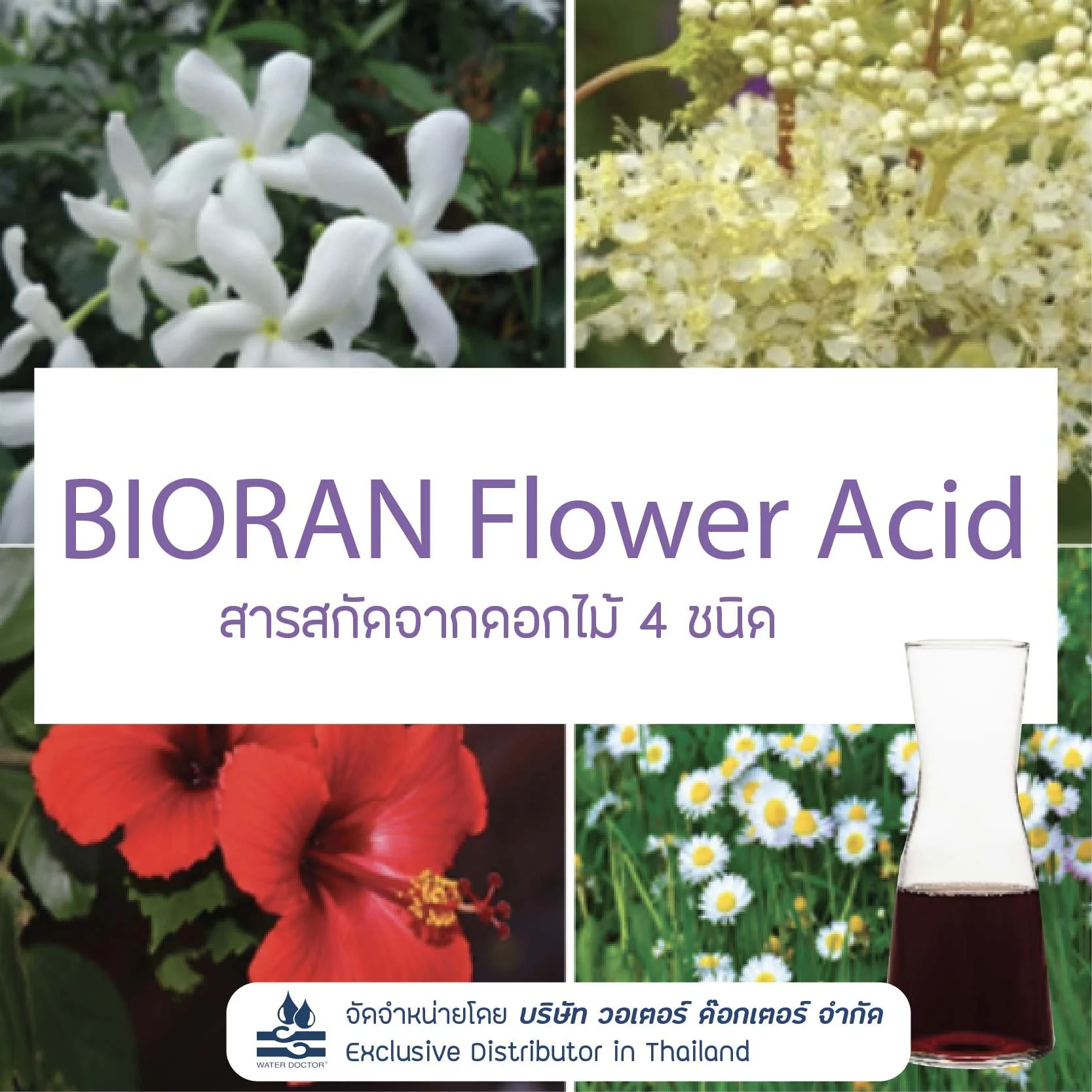 bioran flower acid.jpg