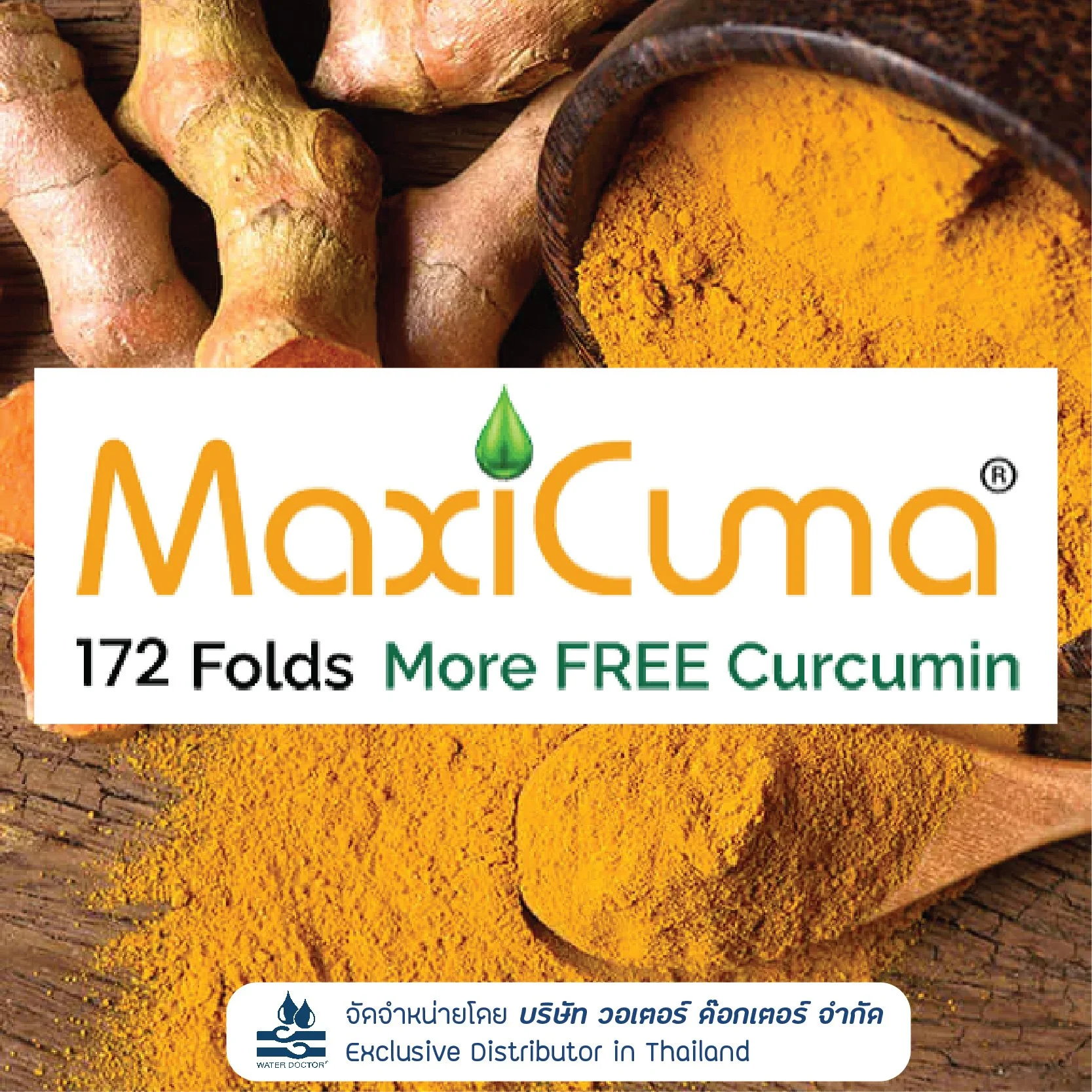 Maxicuma สารสกัดจากขมิ้น Curcuminoid 40%