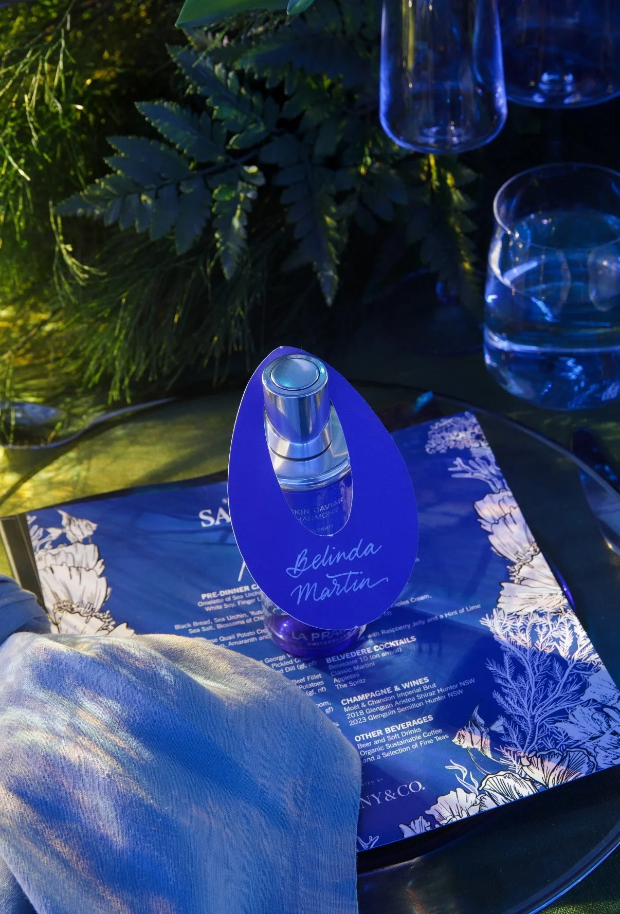 Custom Illustrations for The Sapphire Project by Sydney artist, Belinda Xia