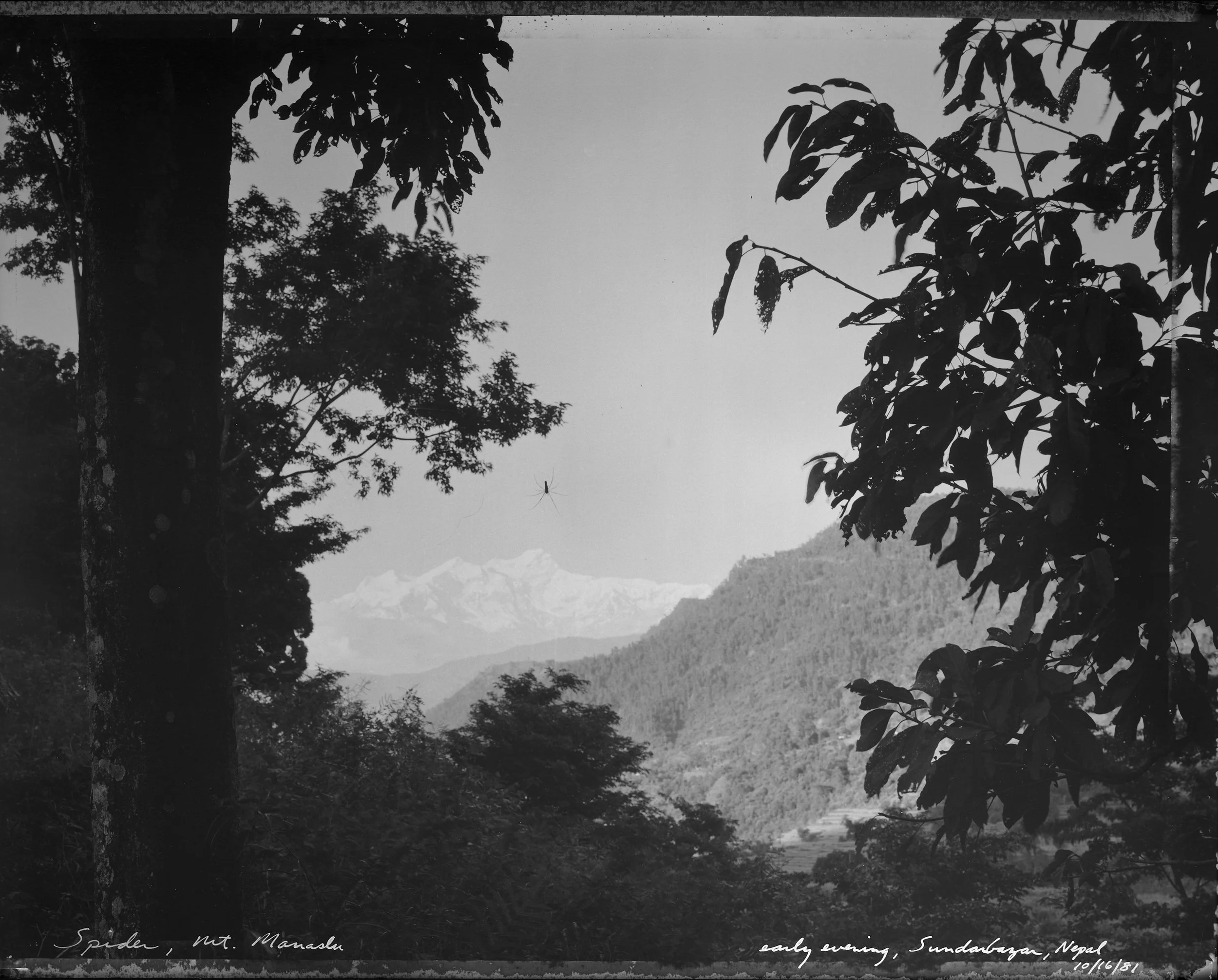  Spider Mt Manaslu early evening, Sundarbazar, Nepal   (10/16/81)