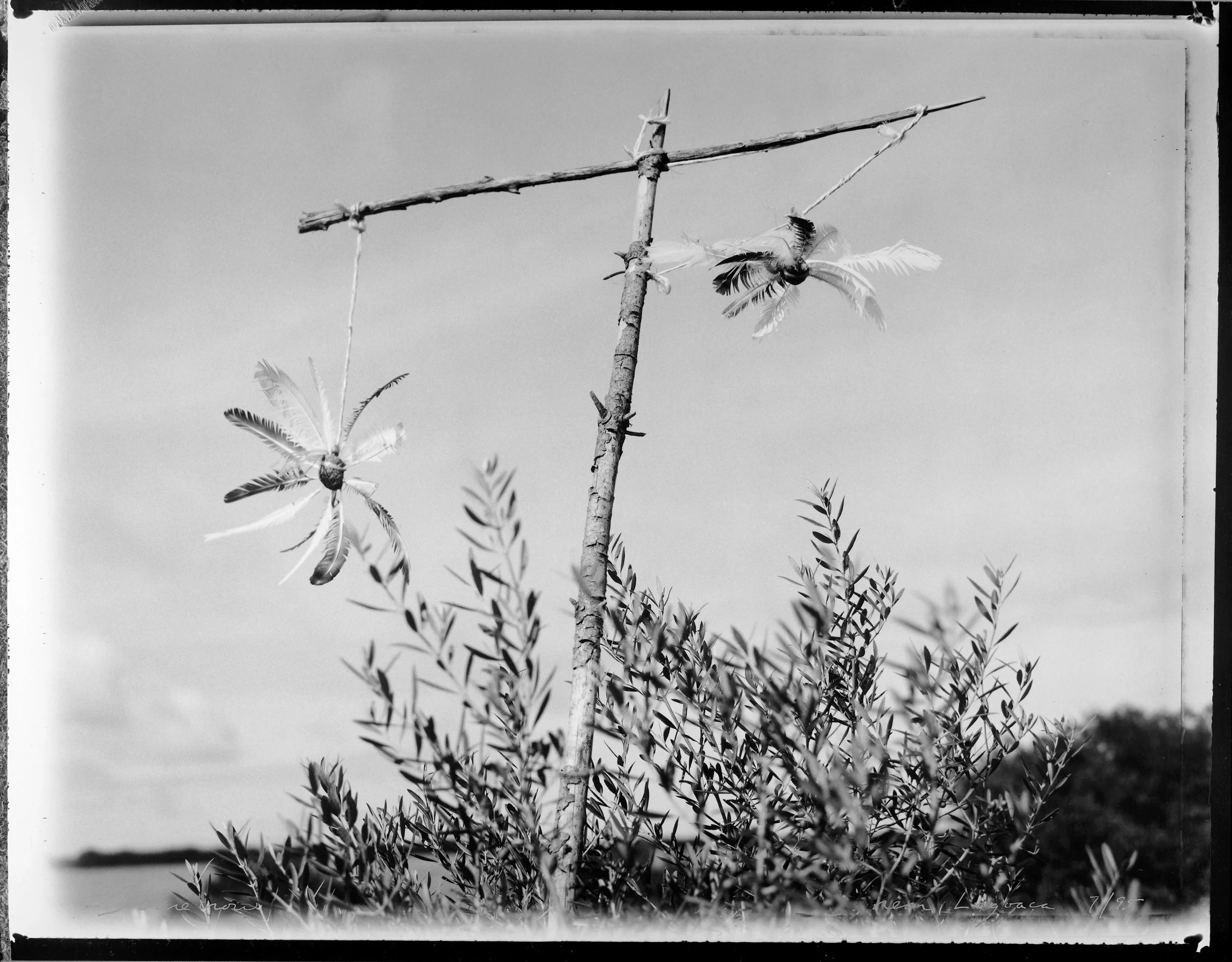 Scarecrow near Lagoaca 7/95