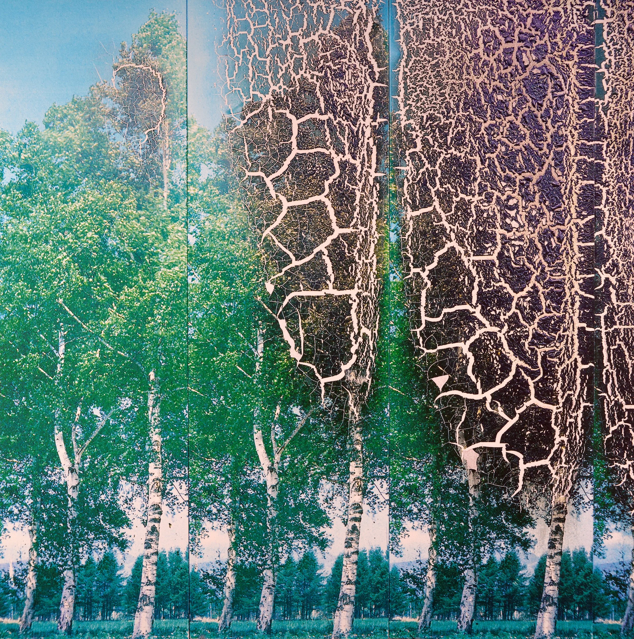Burned wall trees mural.jpg