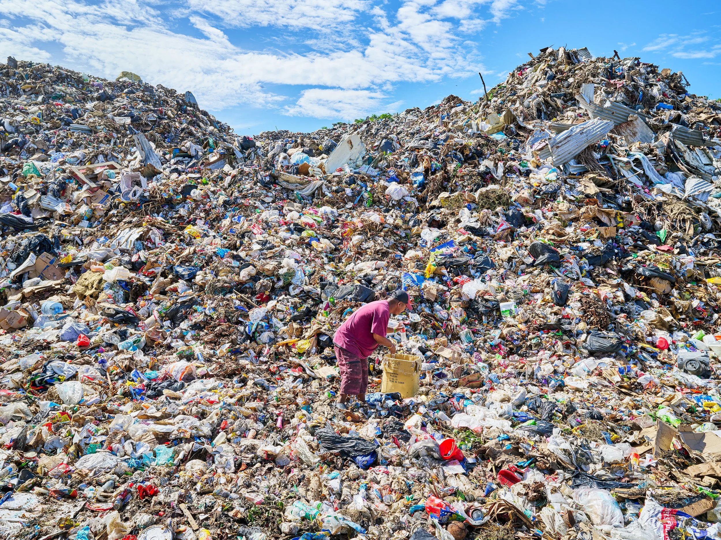  Man sorting plastic water bottles in the dump at Majuro. The pile is the tallest point in the Marshall Islands. 
