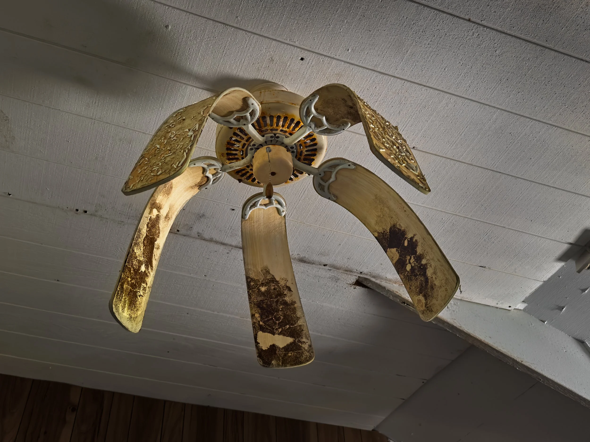  Ceiling fan warped by heat and humidity, dorm room built to house visiting divers, Bikini. 
