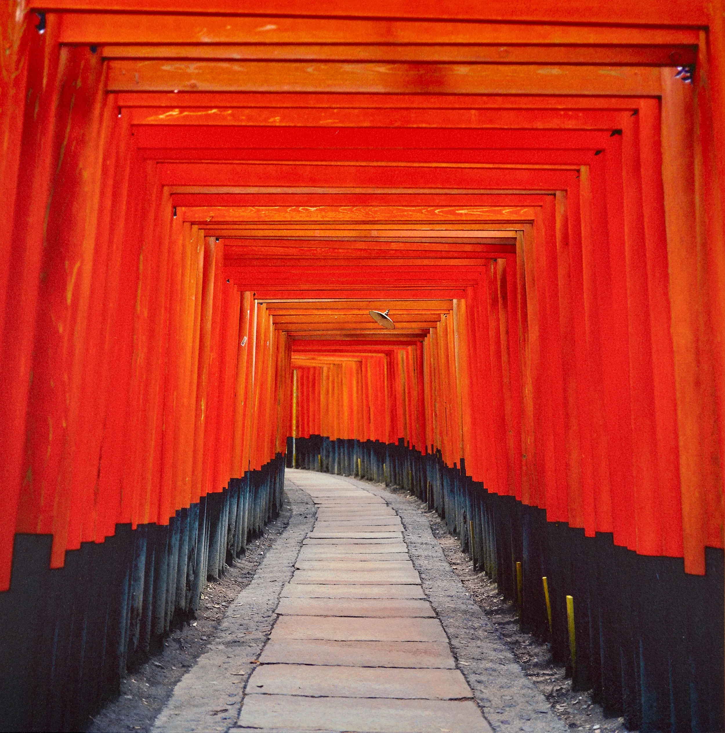 Tori gates Kyoto.jpg
