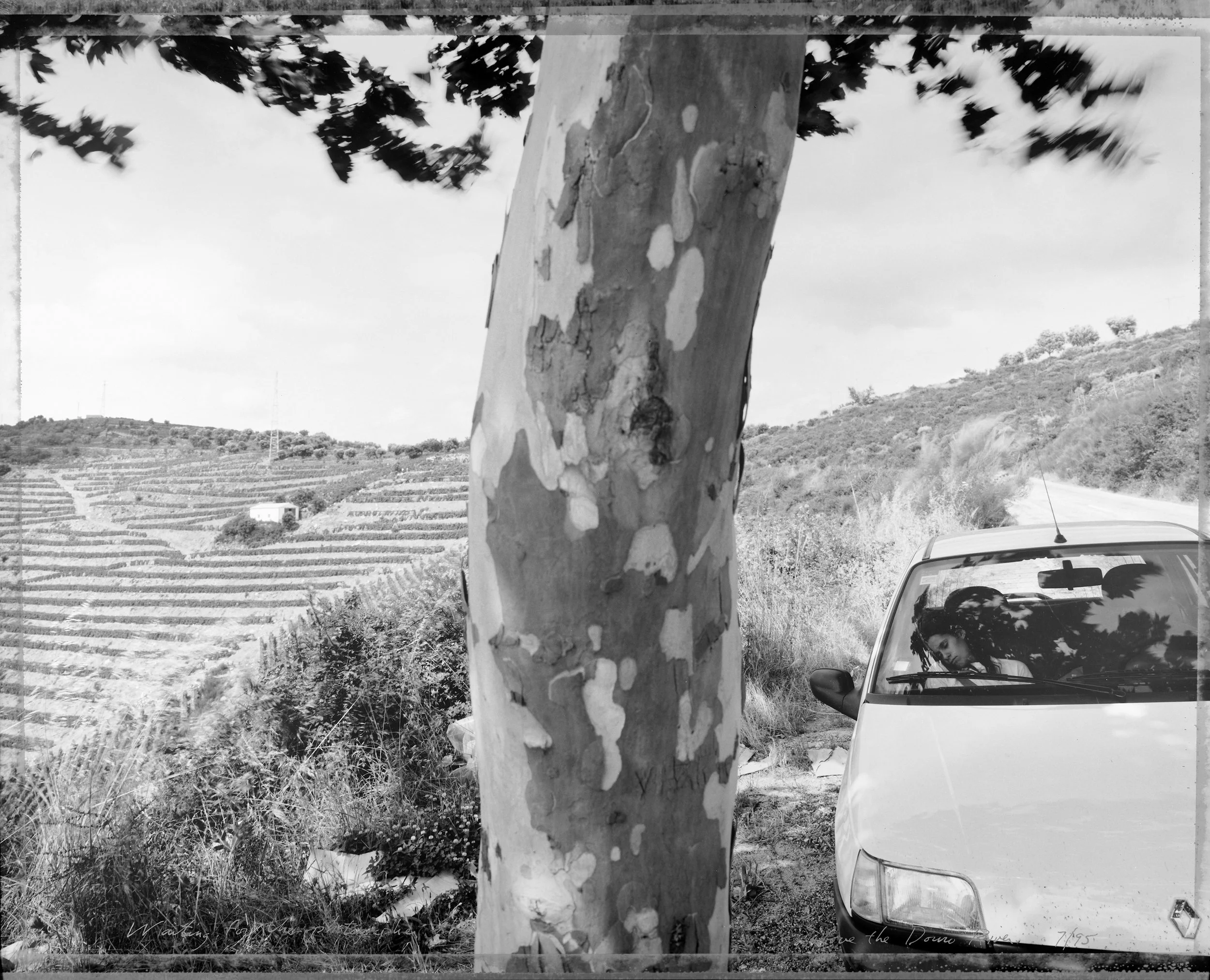 Waiting for the photographer above the Douro River 7/95