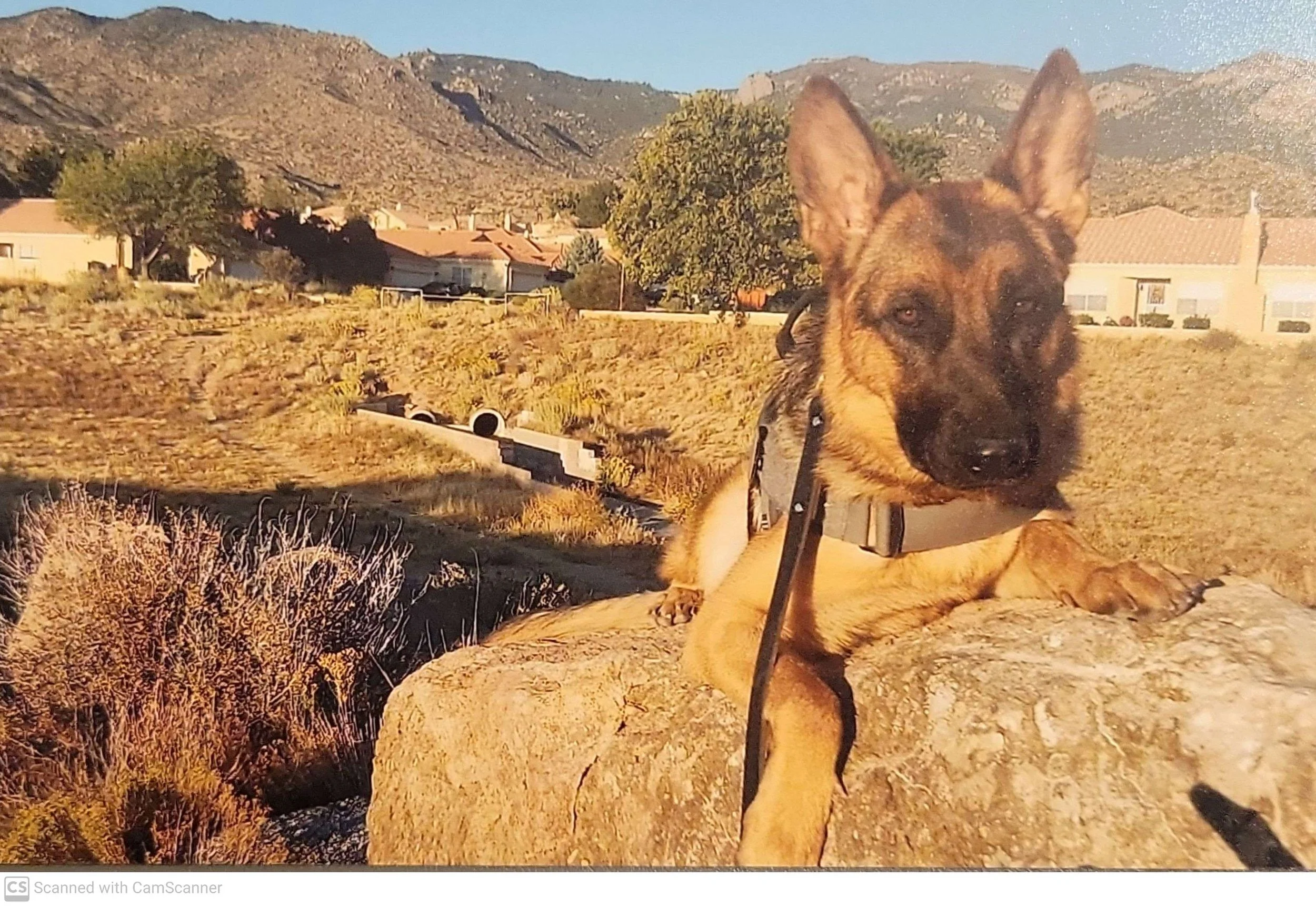 CamScanner 11-26-2023 20.05.jpg