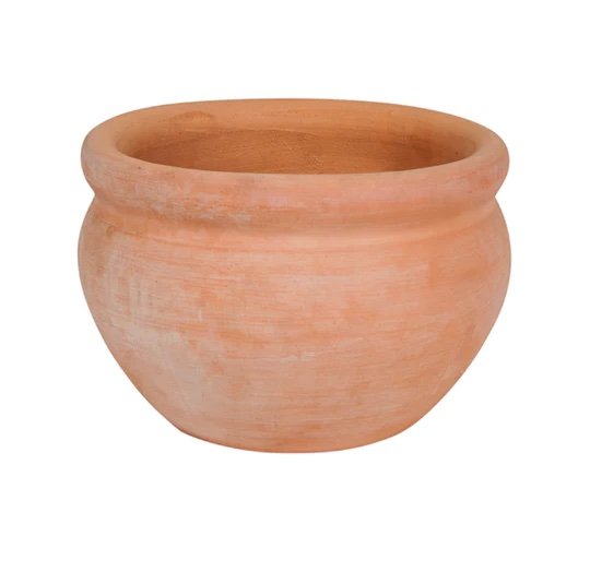 Sydney Plant Market Terracotta Rose Bowl Pot