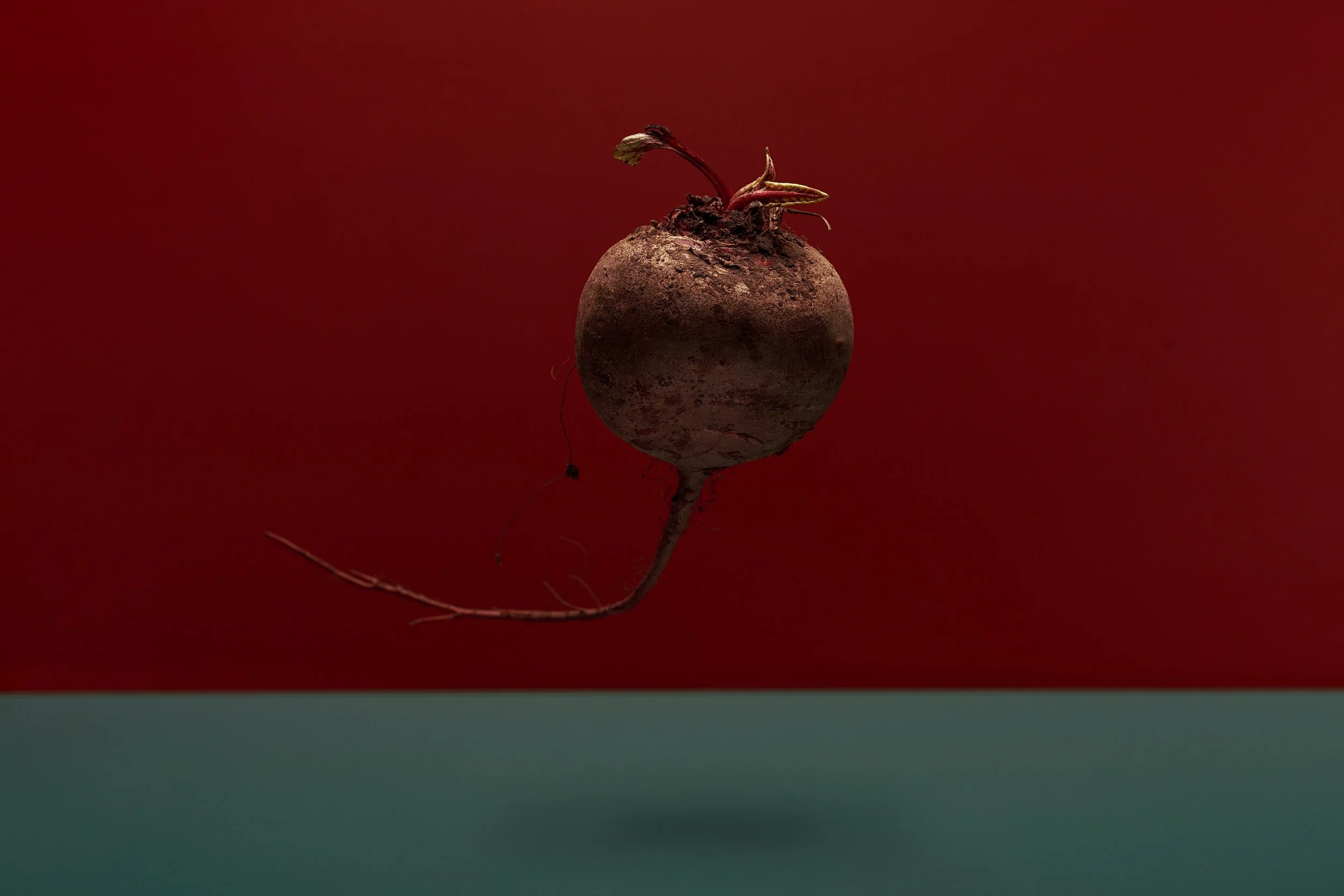 Veggiecine: A Novel Approach to Suturing
