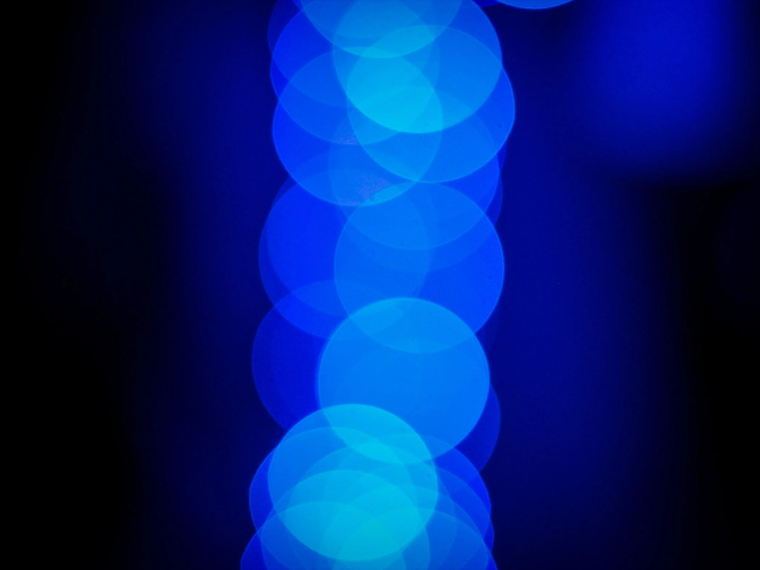 Chronic Blue Light: A Potential Accelerator for Aging in Drosophila