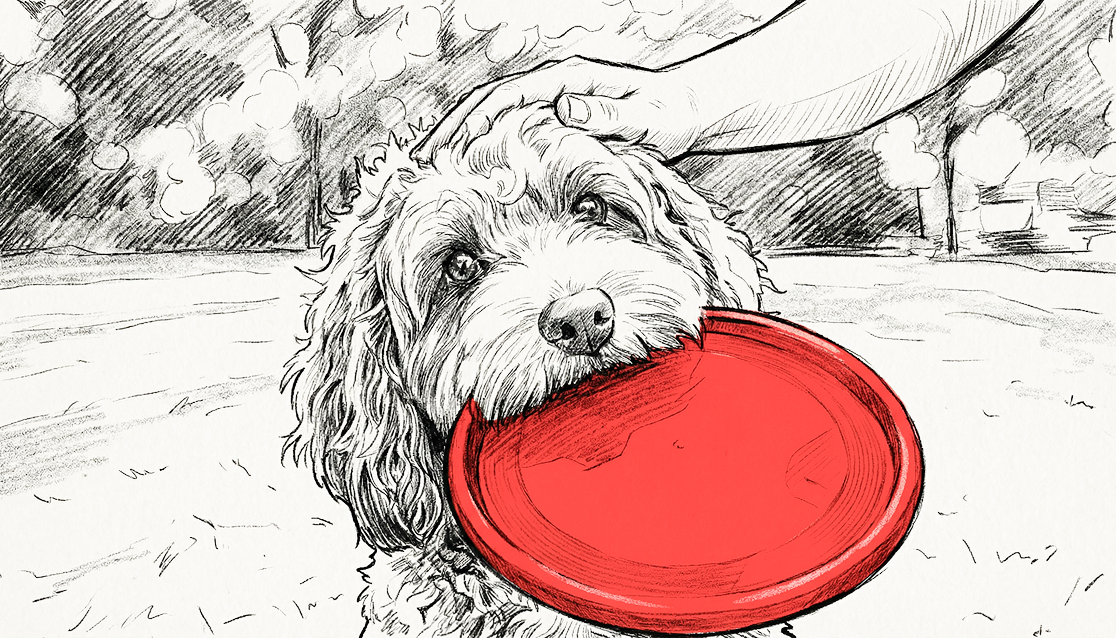Medibank Pet Insurance 

Utilising AI for scamps