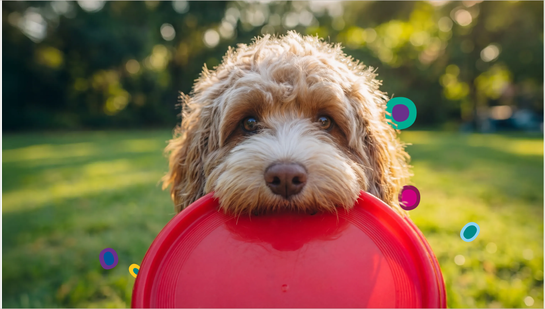A cute brown and white puppy with floppy ears holding a red frisbee in its mouth, outdoors in a grassy park with trees in the background.