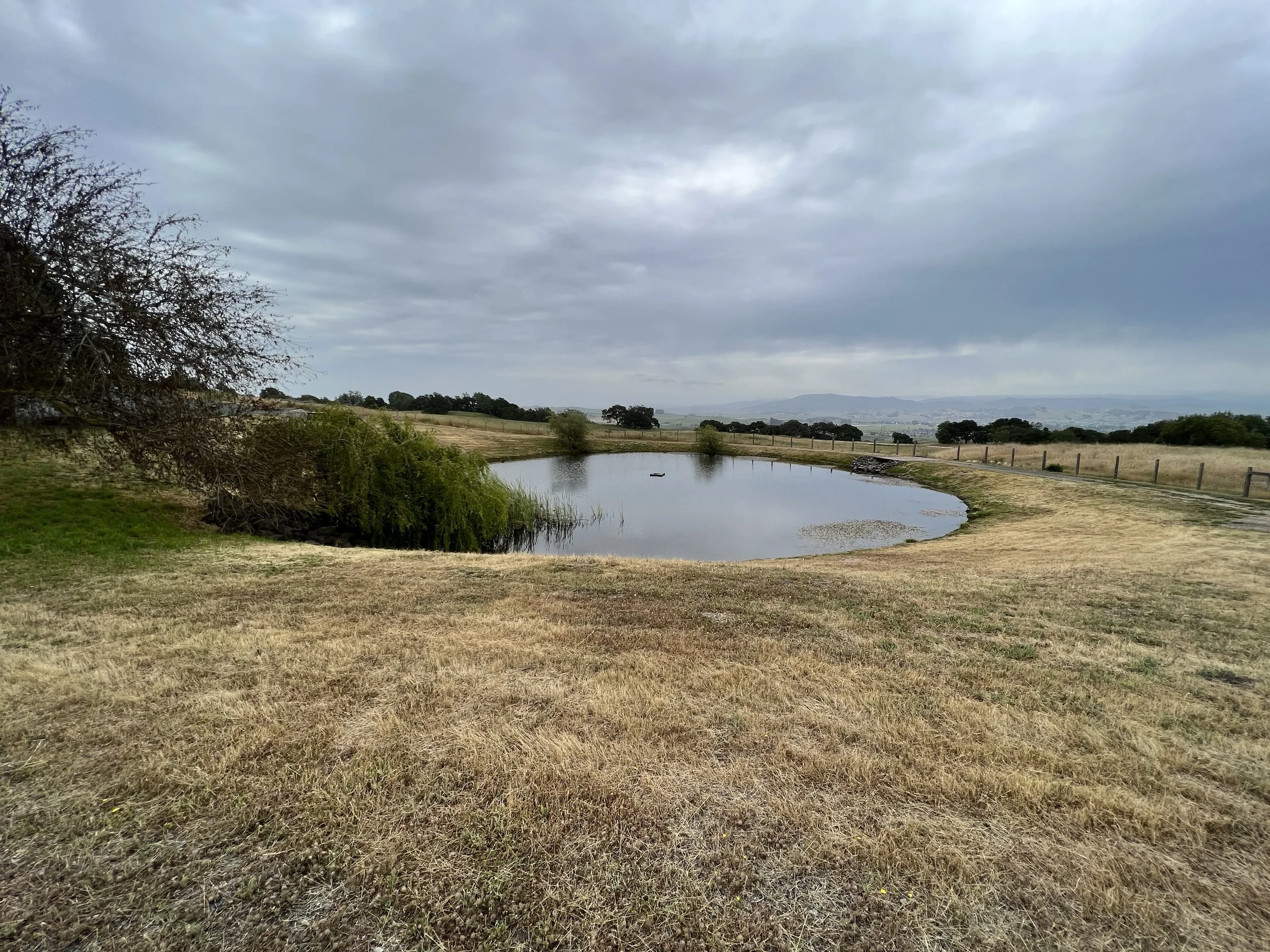 Pond in Petaluma, CA
