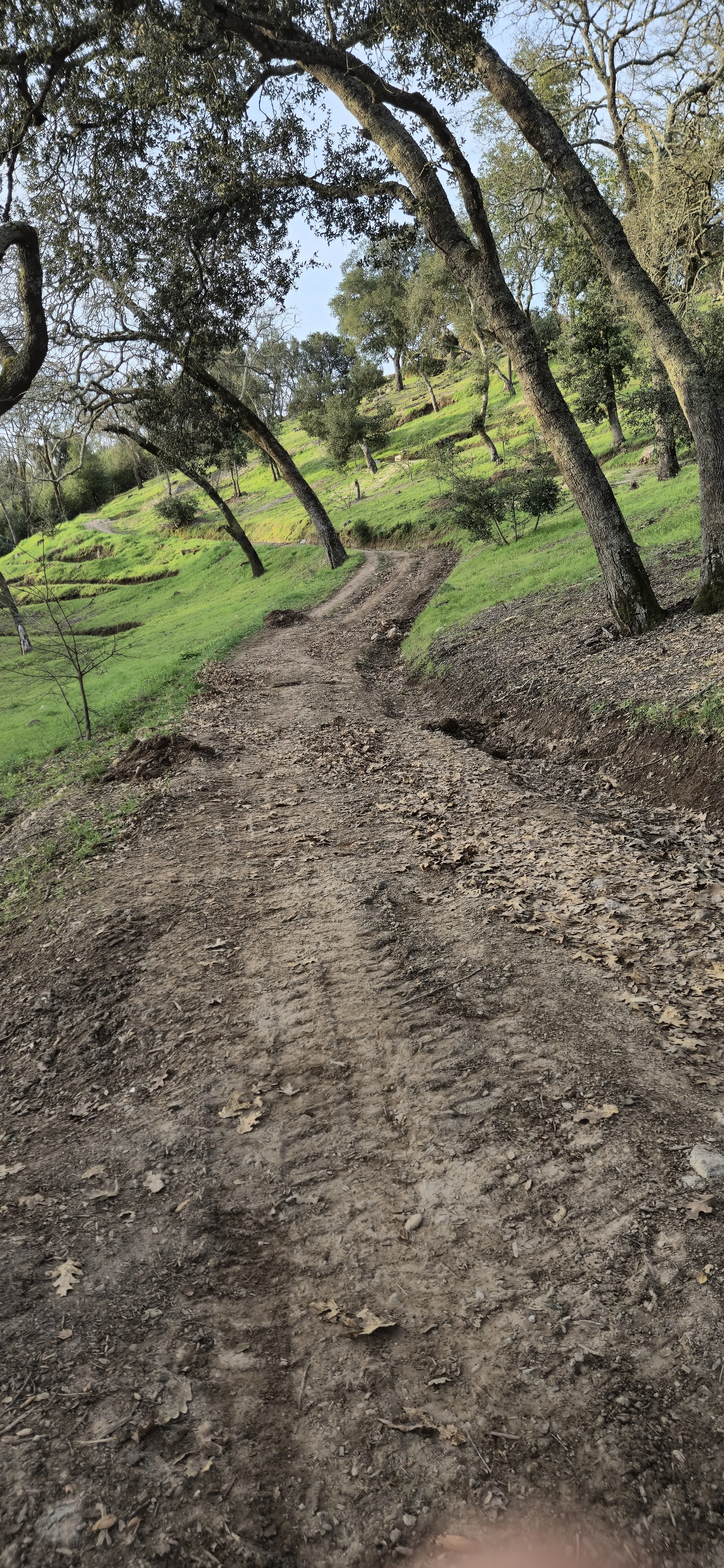 New Access Road in Sonoma County