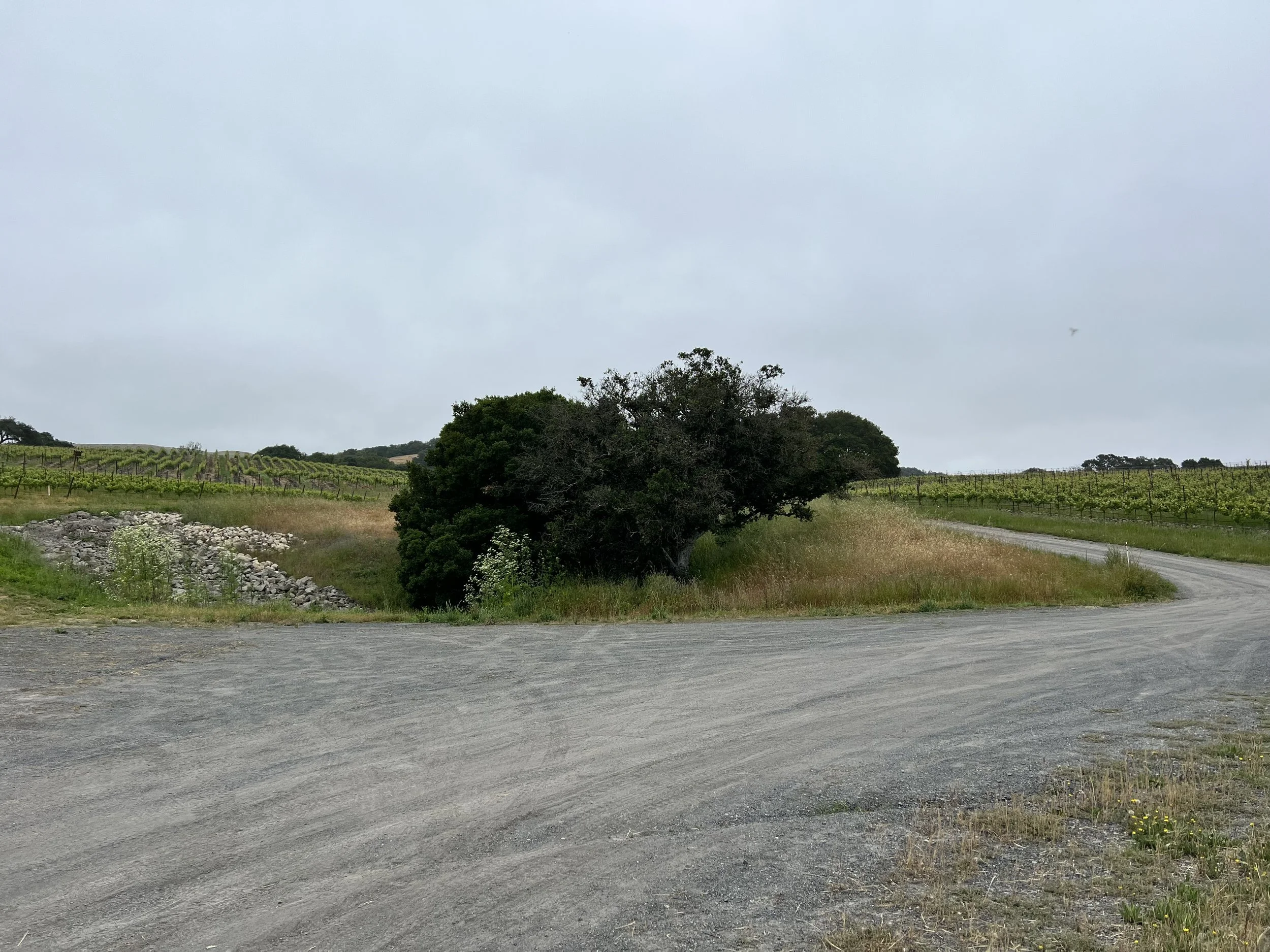 road work in Sonoma County 