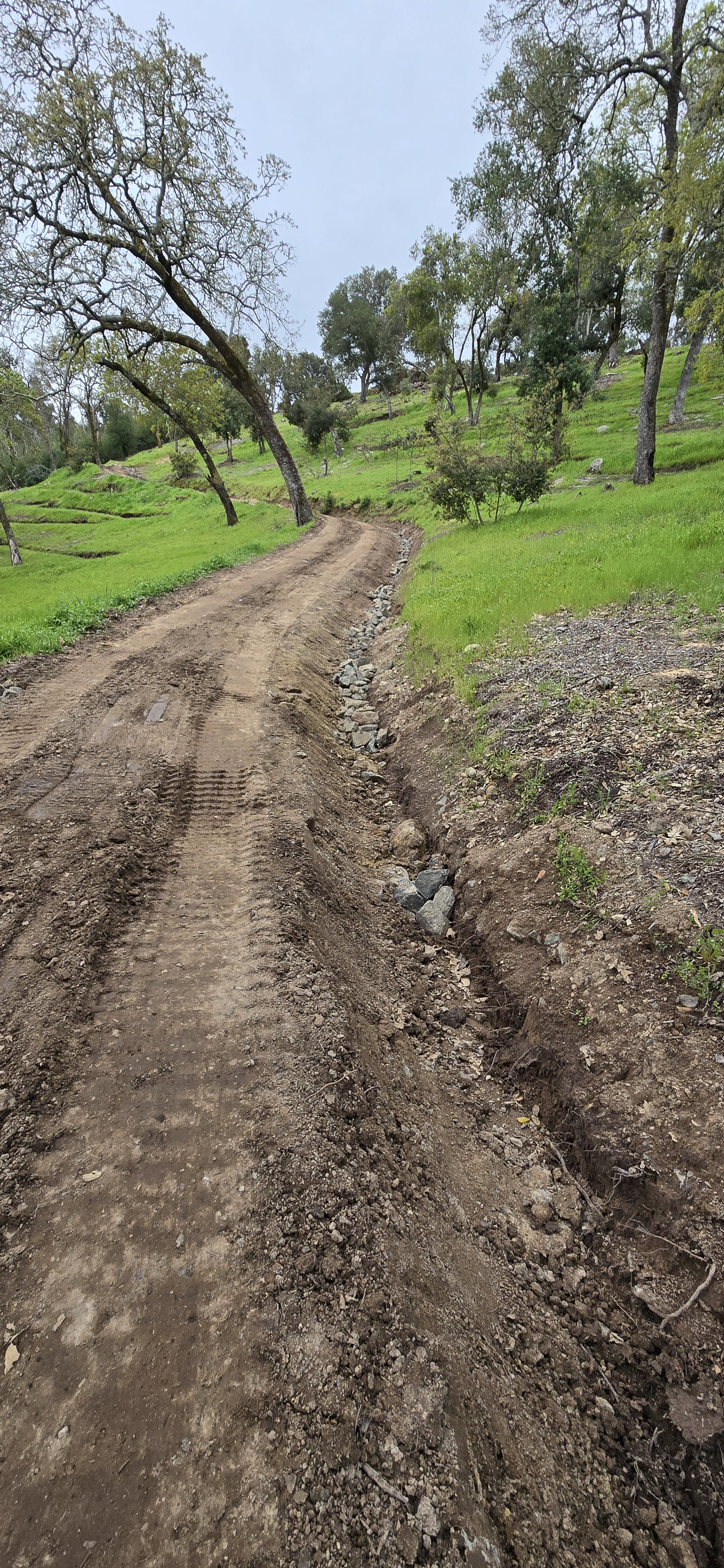 New Access Road in Sonoma County