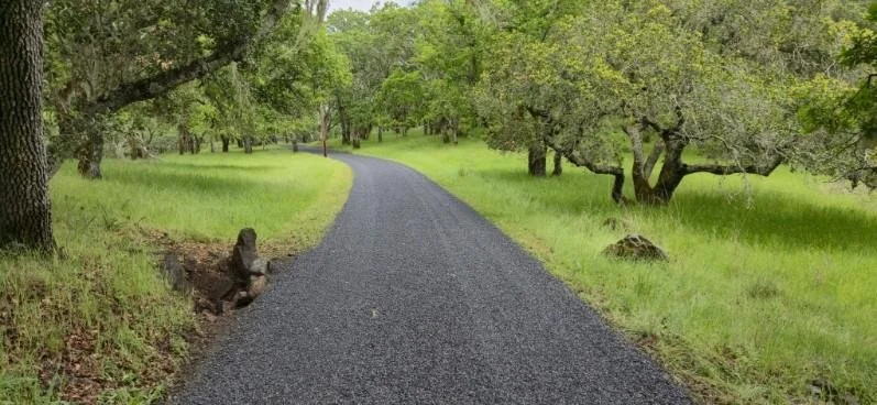 New Road in Sonoma