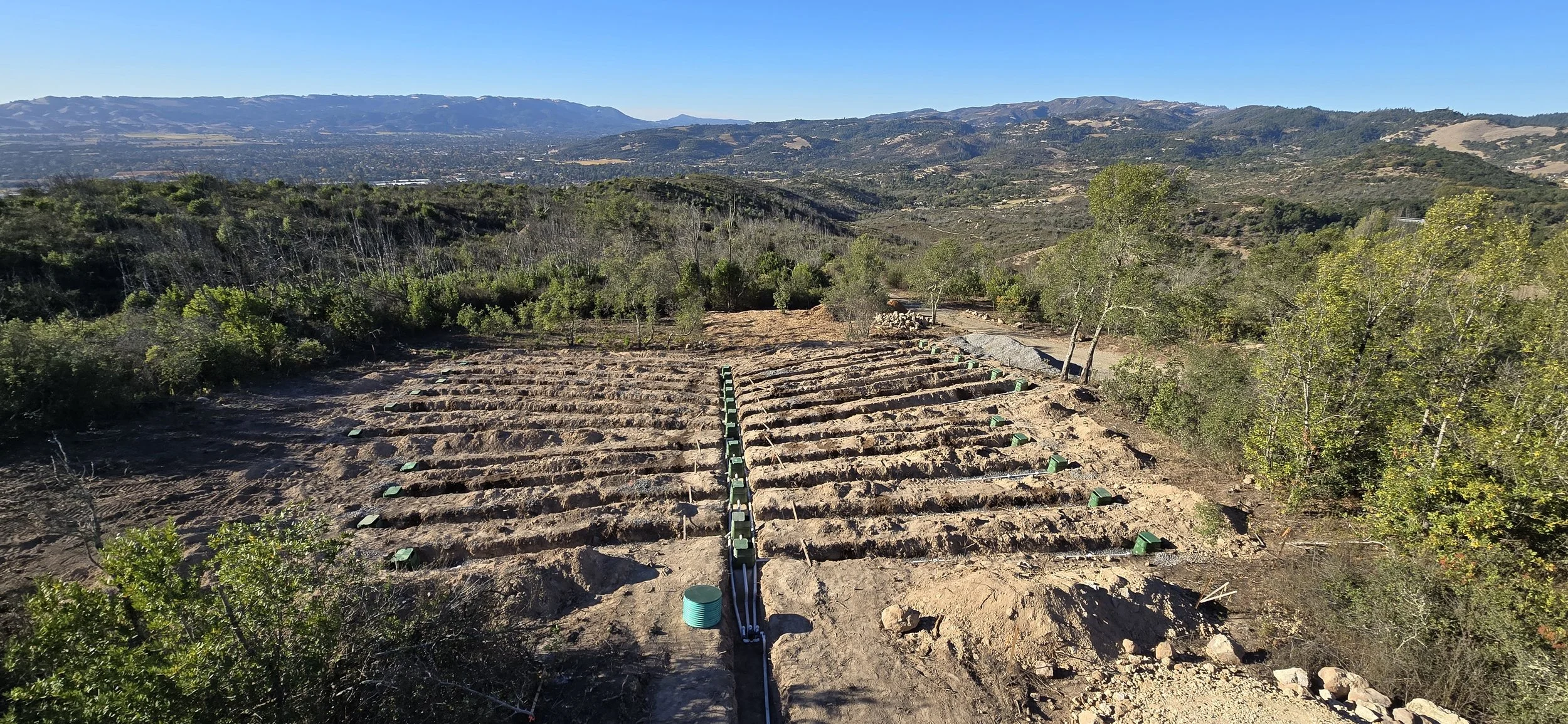 Drip System Install in Sonoma County