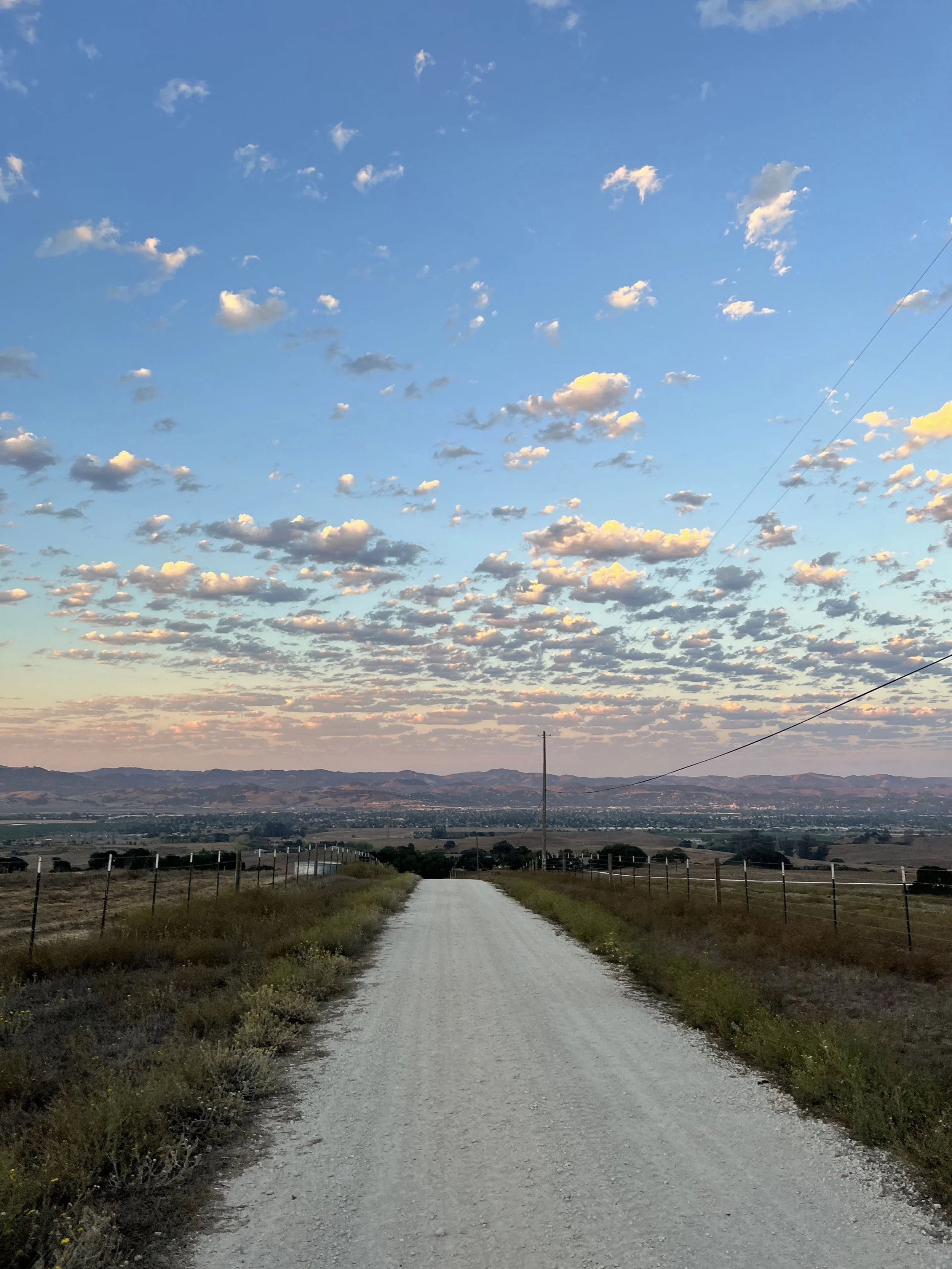 Road work in Sonoma County