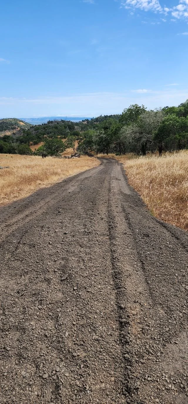New Road in Sonoma