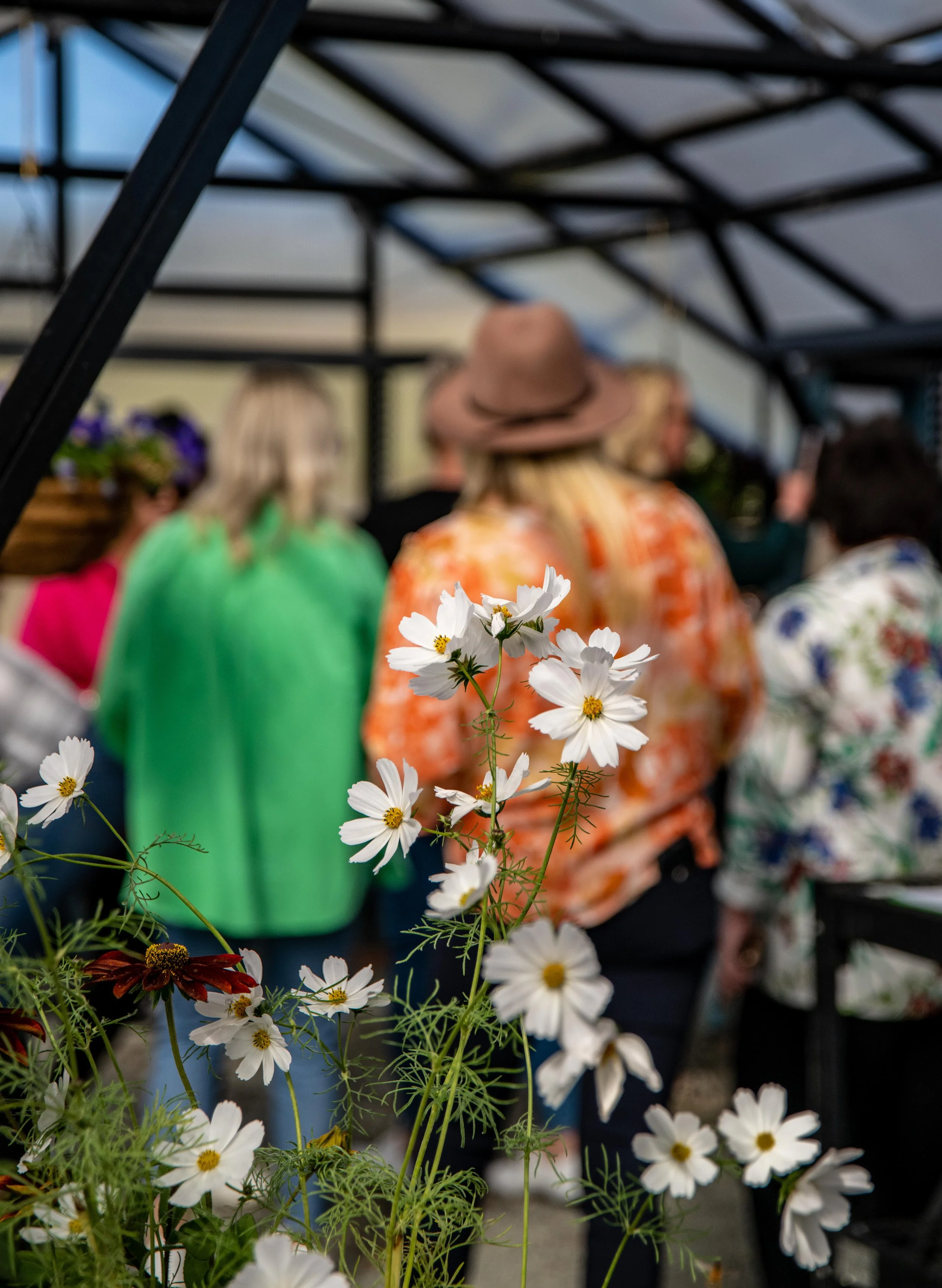 White flowers in the foreground with a group of people standing in a greenhouse background.