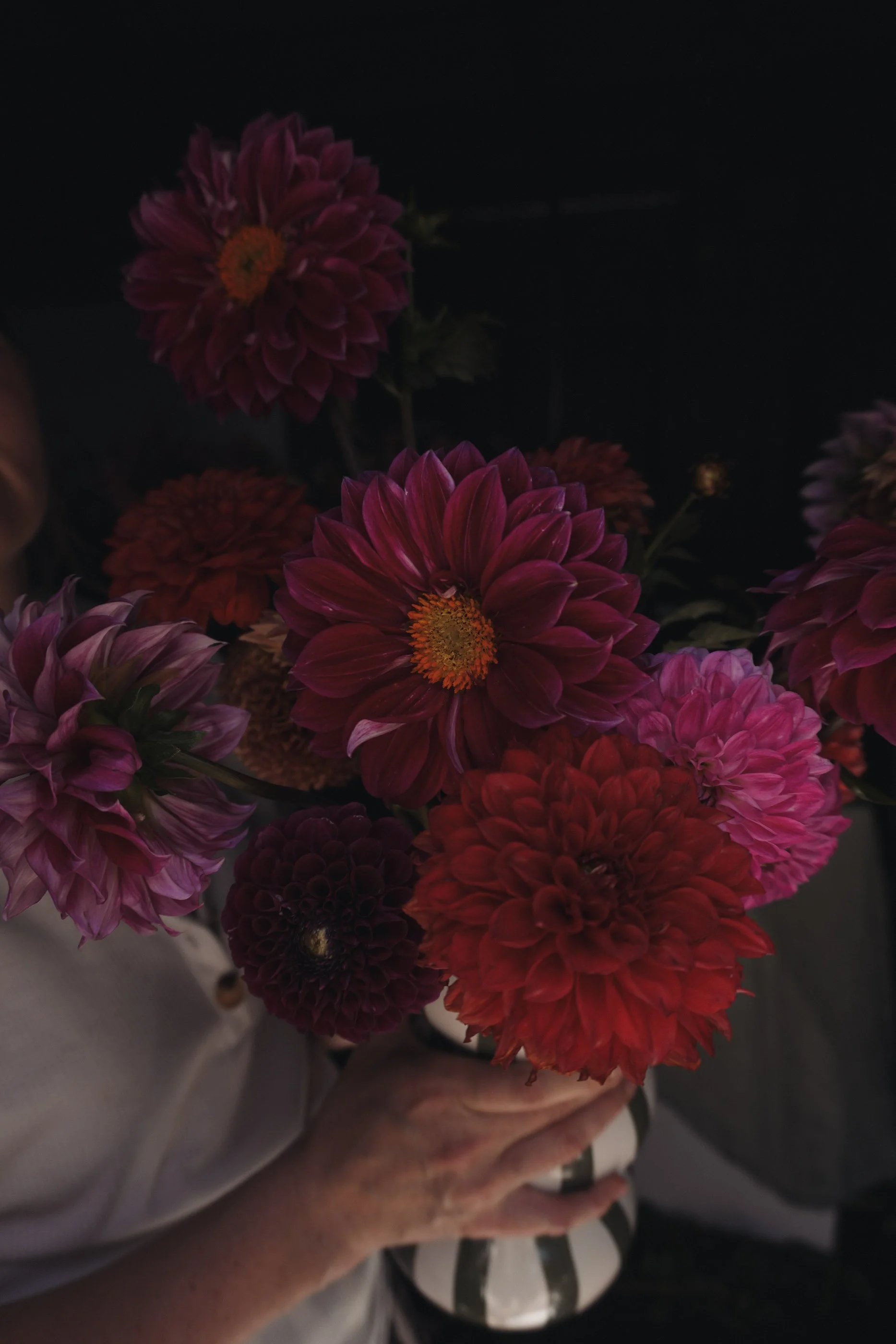 Valentine's Day bunch-06.jpg