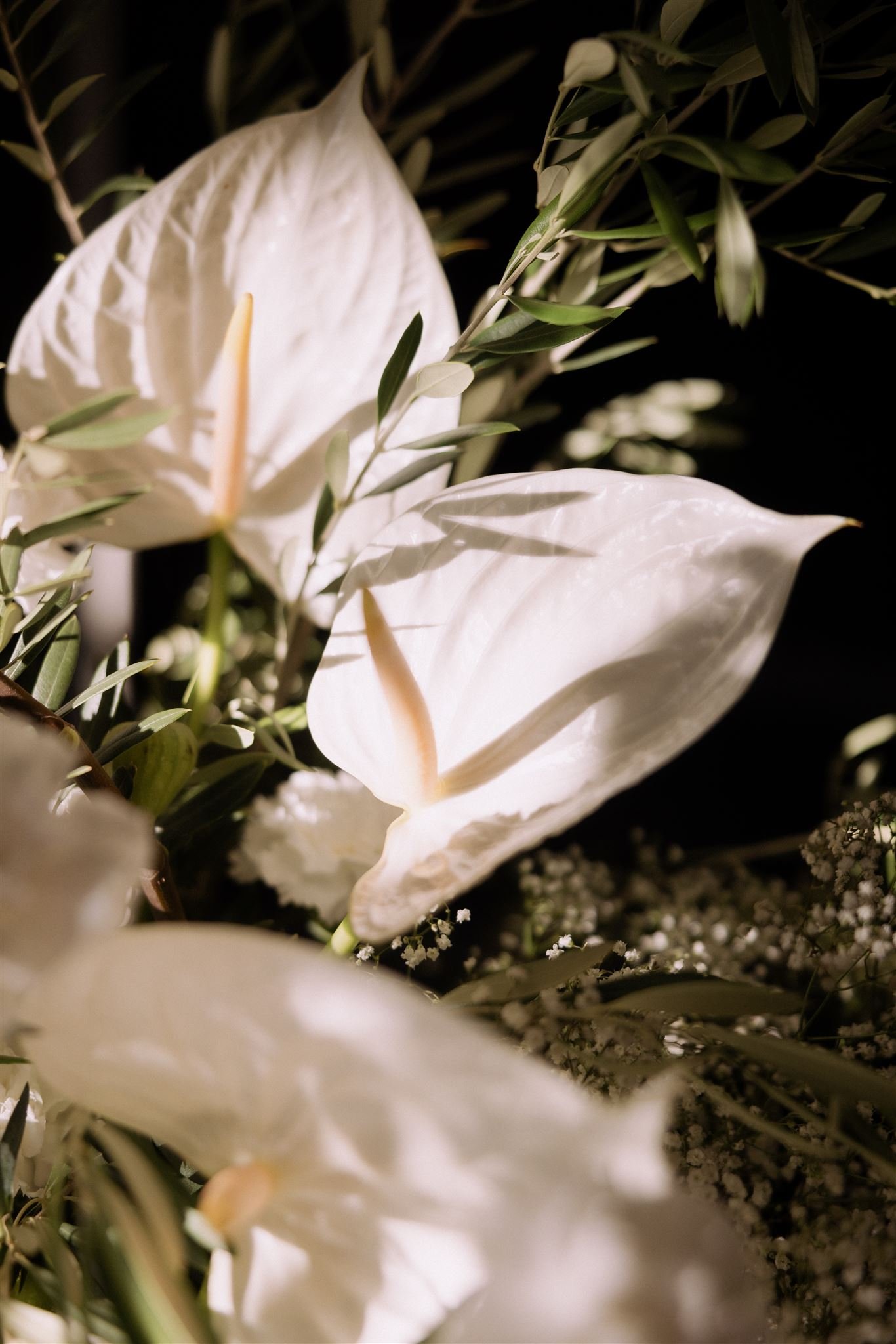 Nicole and Shaun-Reception-23_websize.jpg