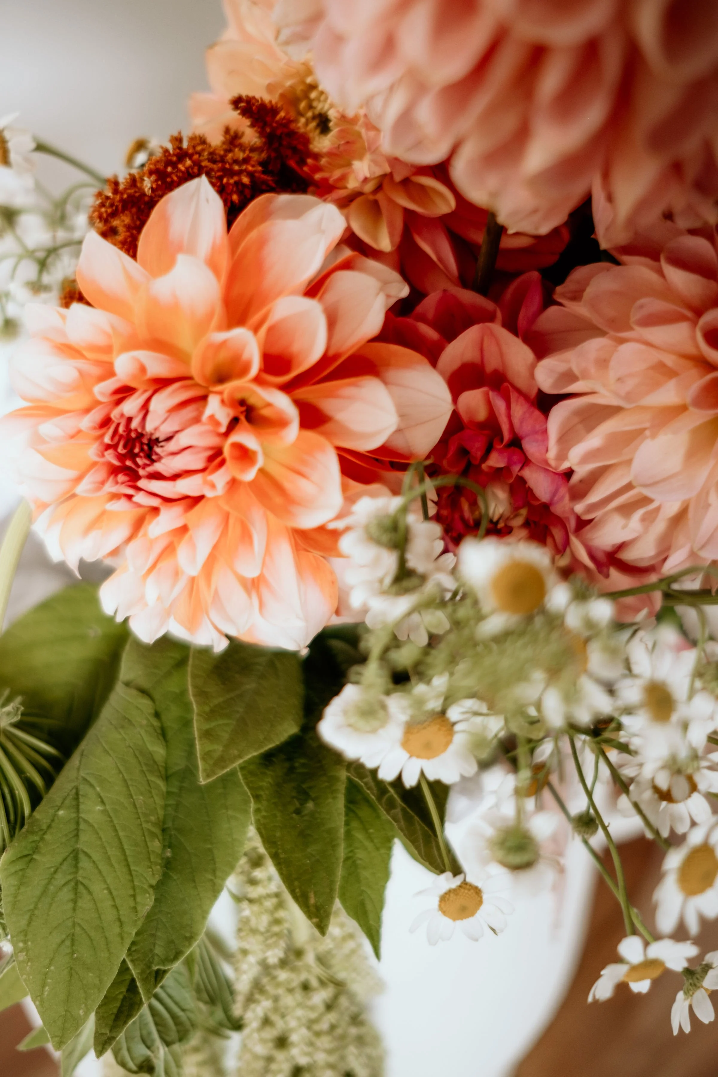 Twyllo-flower-farm-dahlias-closeup-events.JPG