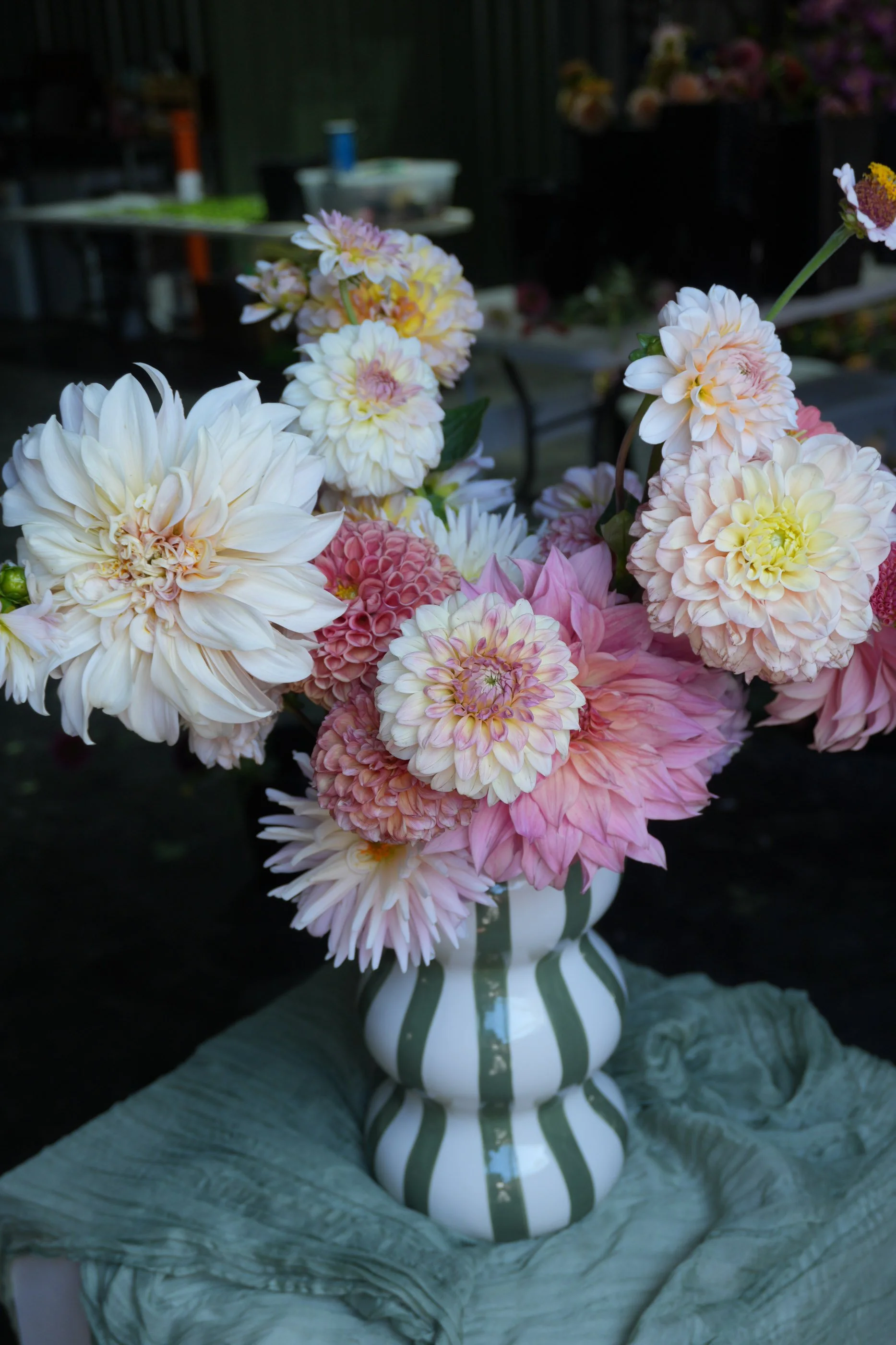 Valentine's Day bunch-02.jpg