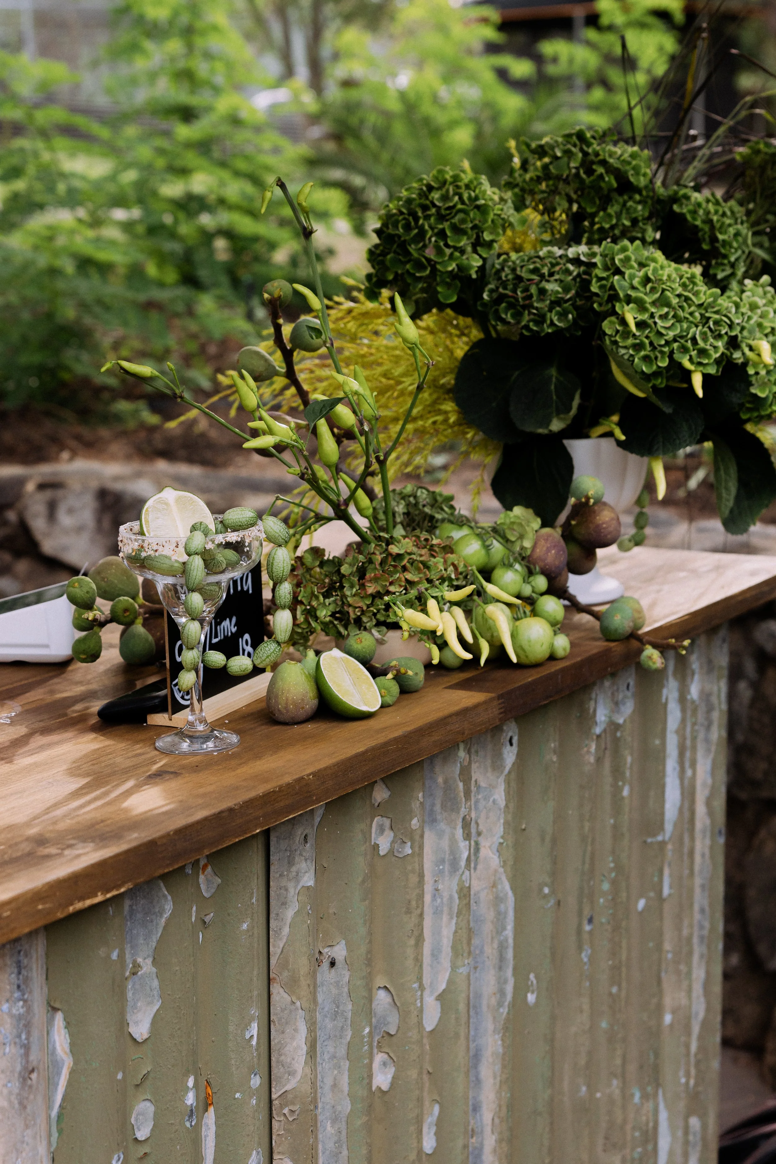 Twyllo-Sip and Snip February 2025-22.jpg