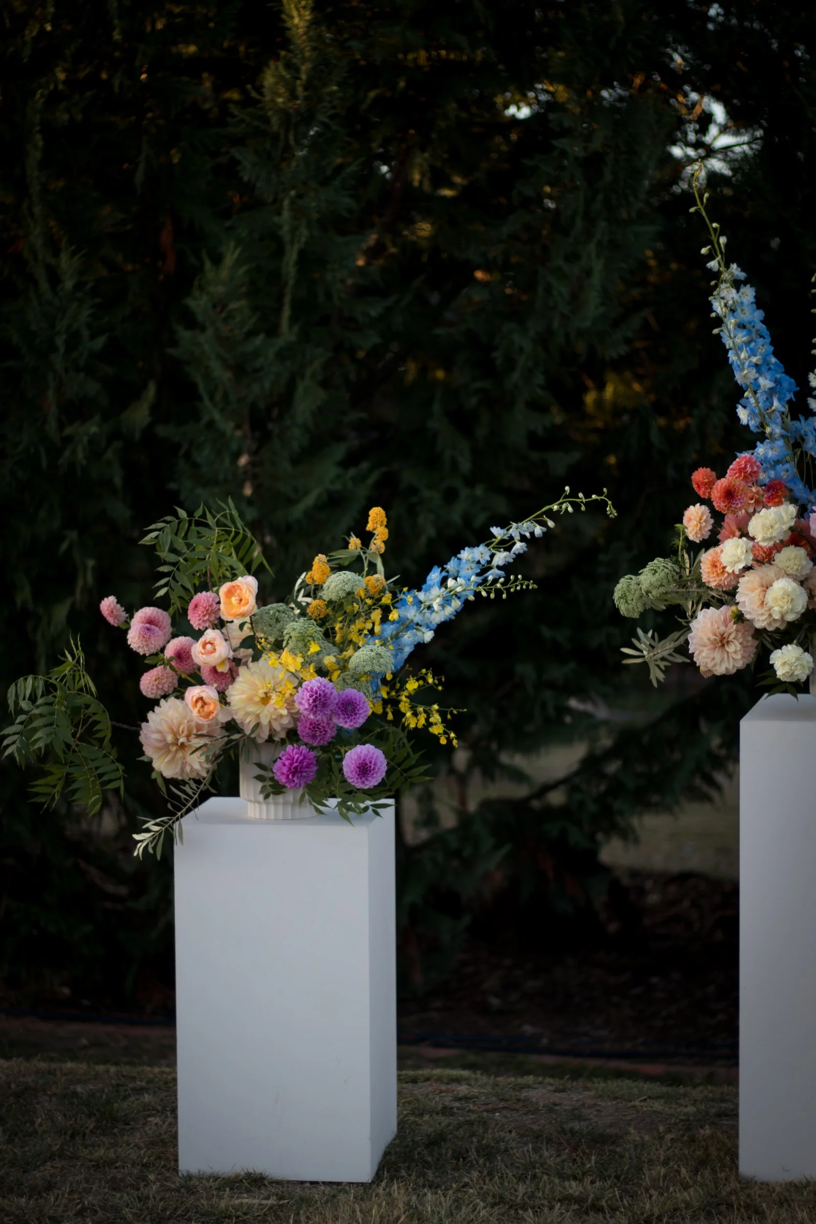 Two floral arrangements on white pedestals outdoors, featuring multicolored flowers such as dahlias, roses, and delphiniums, against a backdrop of dark green foliage.