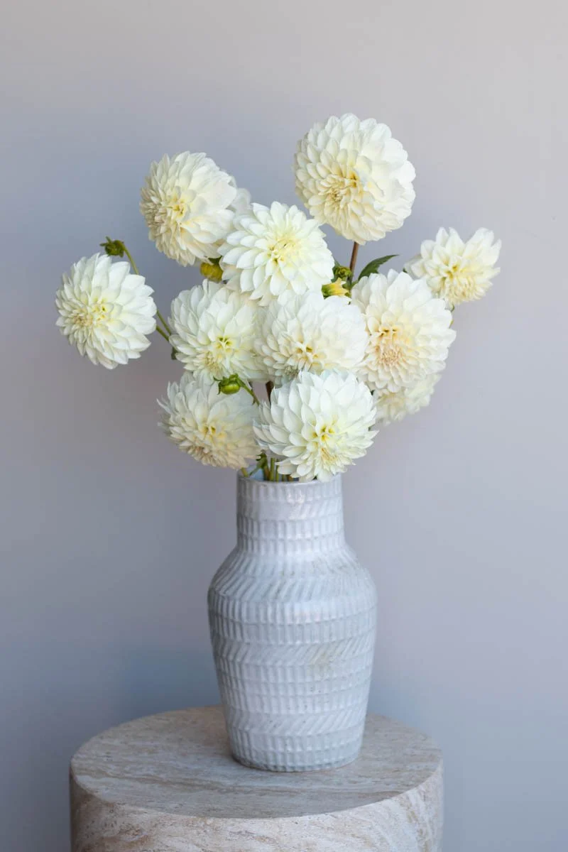 Florelie Whipped Cream-2.jpg