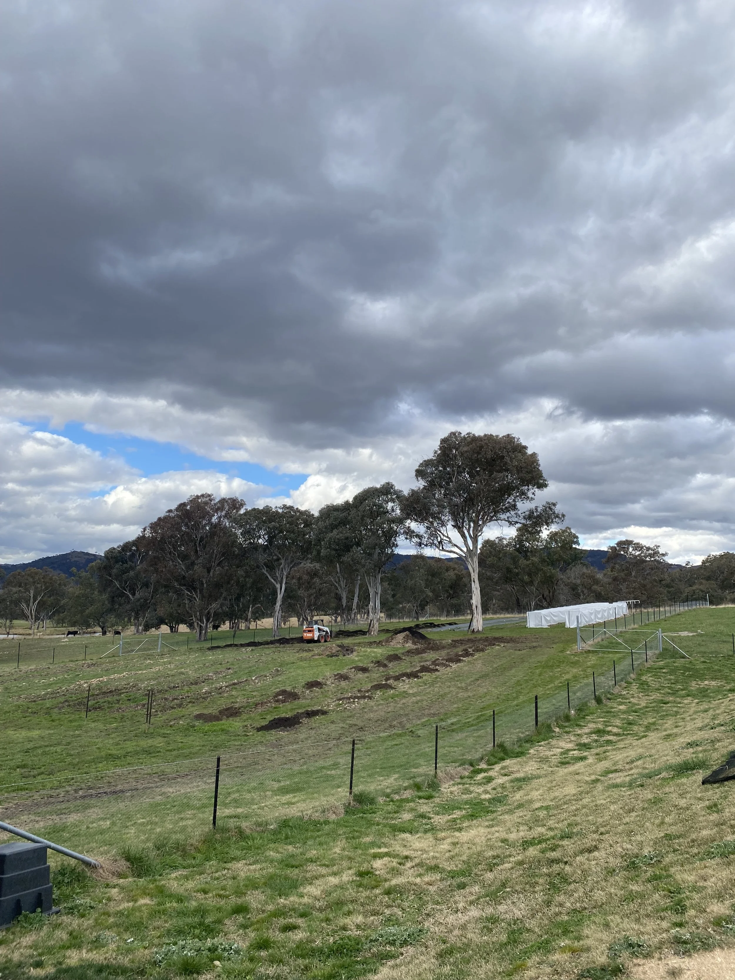 Cloudy sky over a grassy field with trees and construction equipment in the distance.