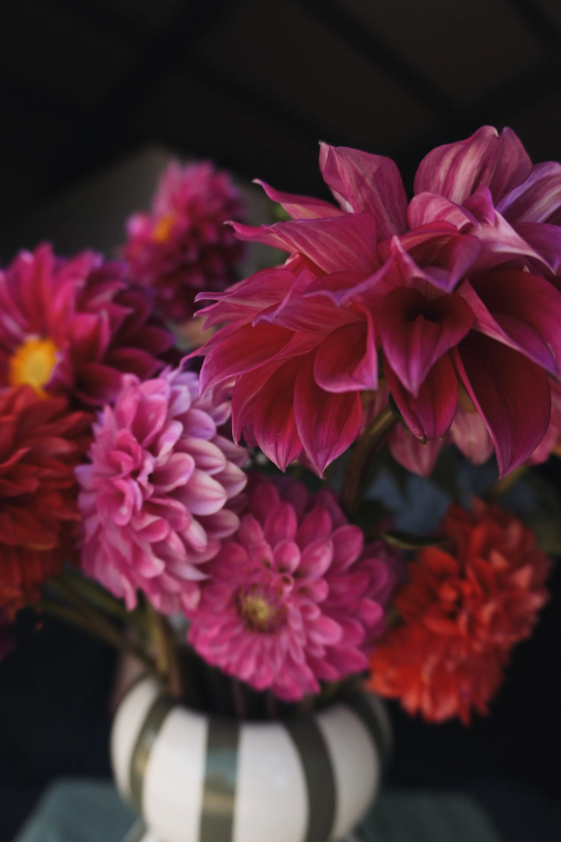 Valentine's Day bunch-08.jpg