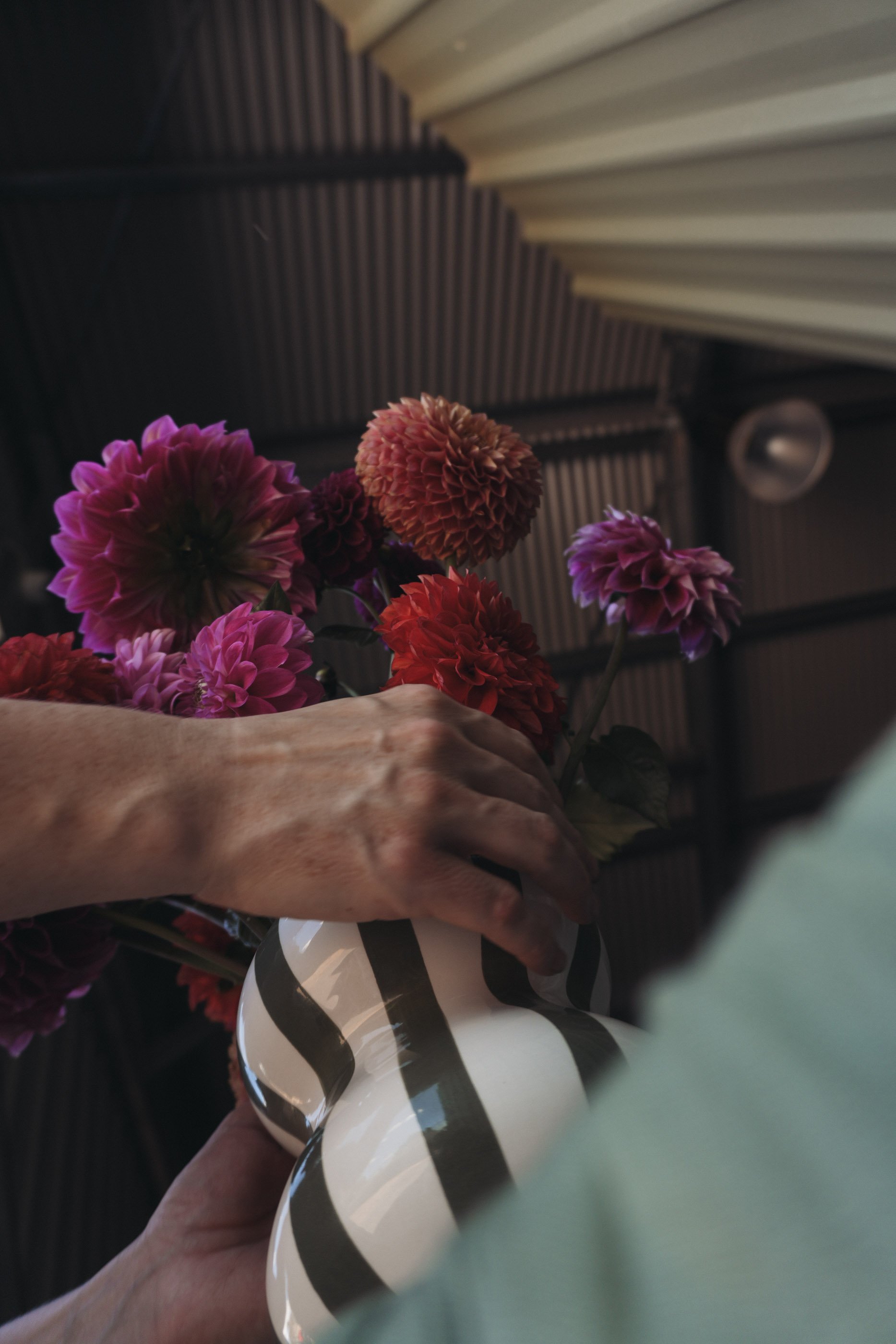 Valentine's Day bunch-09.jpg