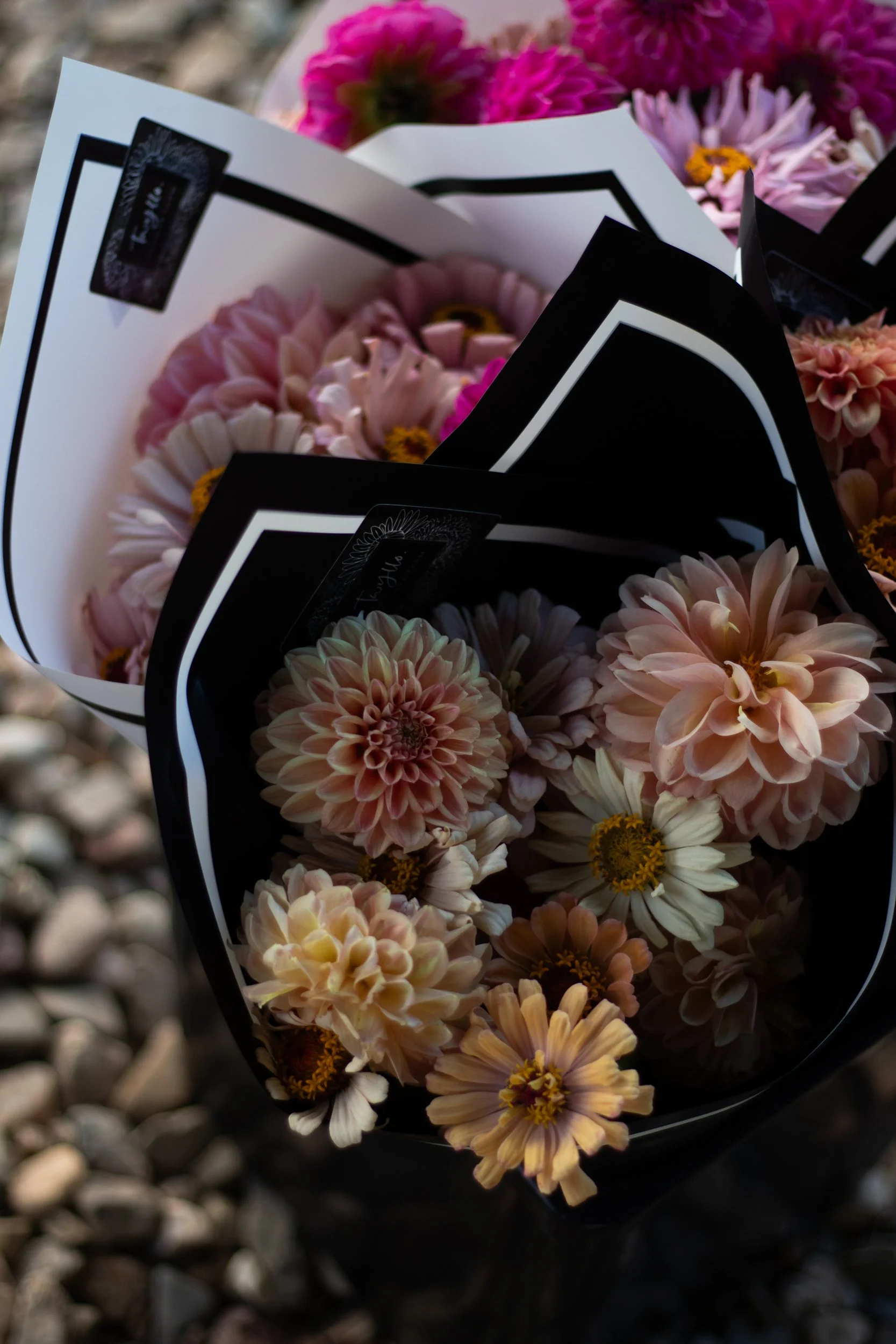 farm shop-04.jpg (Copy)