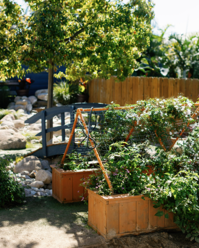 A preschool garden with two wooden planters filled with green plants, a small footbridge, and a tree with lush green foliage in the background.