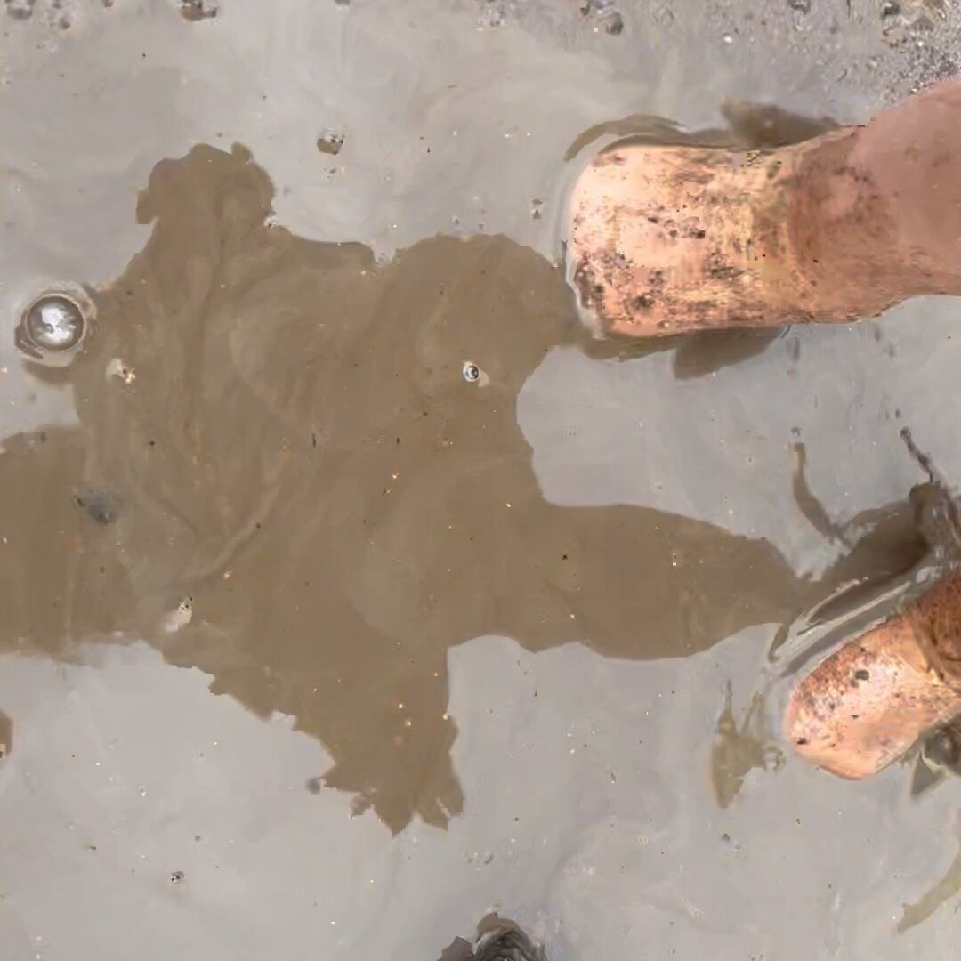 &quot;Children still need a childhood with dirt, mud, puddles, trees, sticks, and tadpoles.&quot; -unknown.  With all the recent rain, we can&rsquo;t get enough of the mud kitchen- there is so much creativity, collaboration, problem solving, dramatic