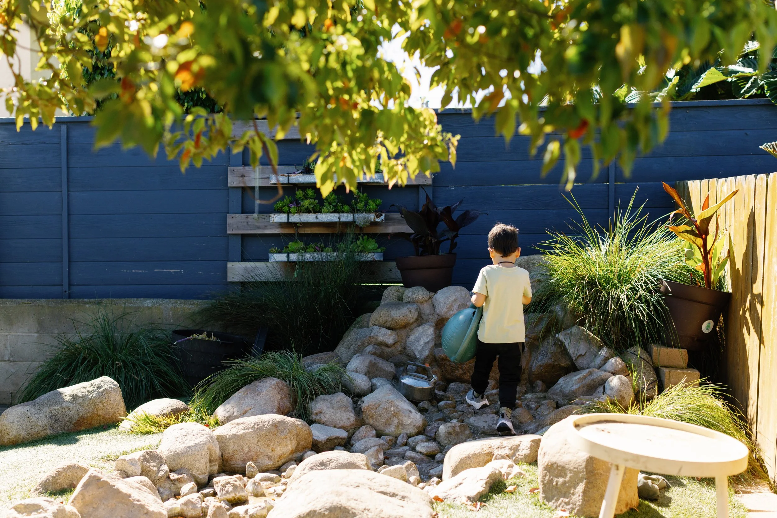 A young boy with dark hair, wearing a light yellow shirt and dark pants, is watering plants in a preschool backyard garden with a green watering can. There are large rocks, green plants, and a painted blue wall. The scene is lit by bright sunlight.