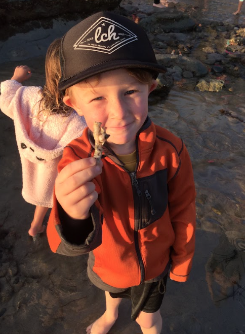 A young boy wearing an orange jacket and a black cap, holding a small fish in his hand on a rocky beach.