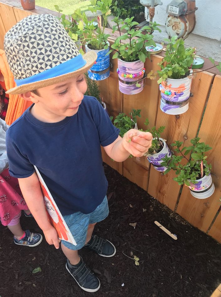 A young boy wearing a straw hat, a navy blue T-shirt, and shorts looks at a small plant he's holding, standing next to a wooden fence with potted plants on it.