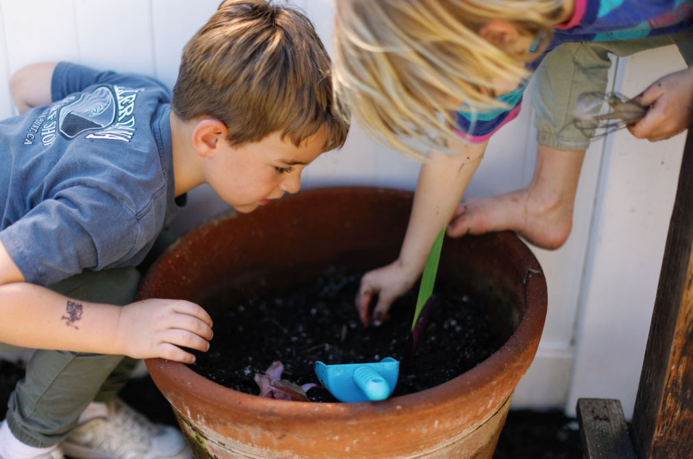 Preschoolers gardening
