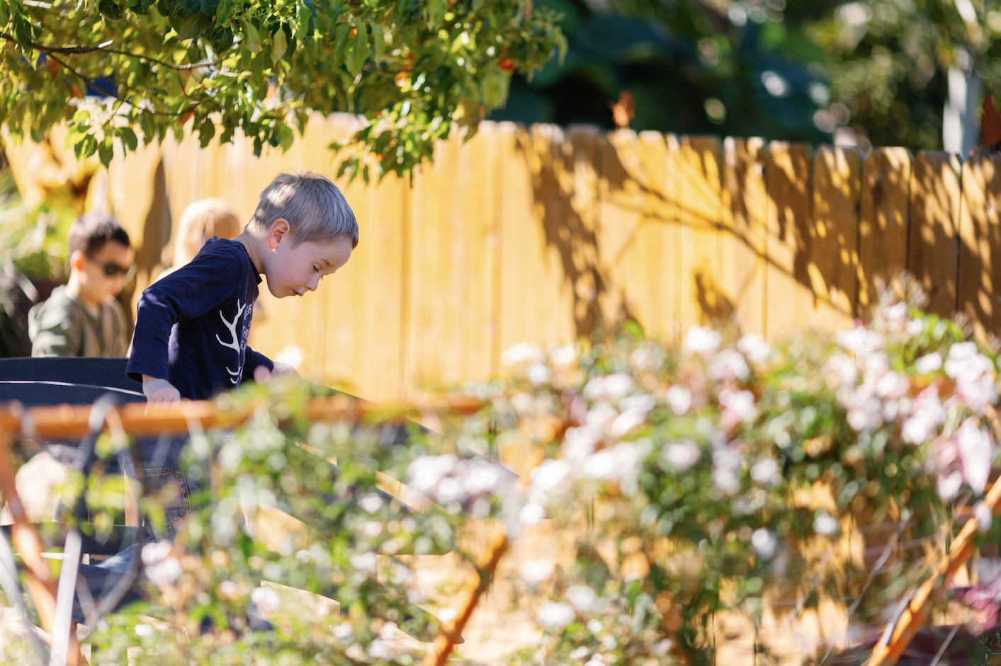 Two young boys gardening at Kids By The Sea, surrounded by plants, flowers, and a wooden fence.