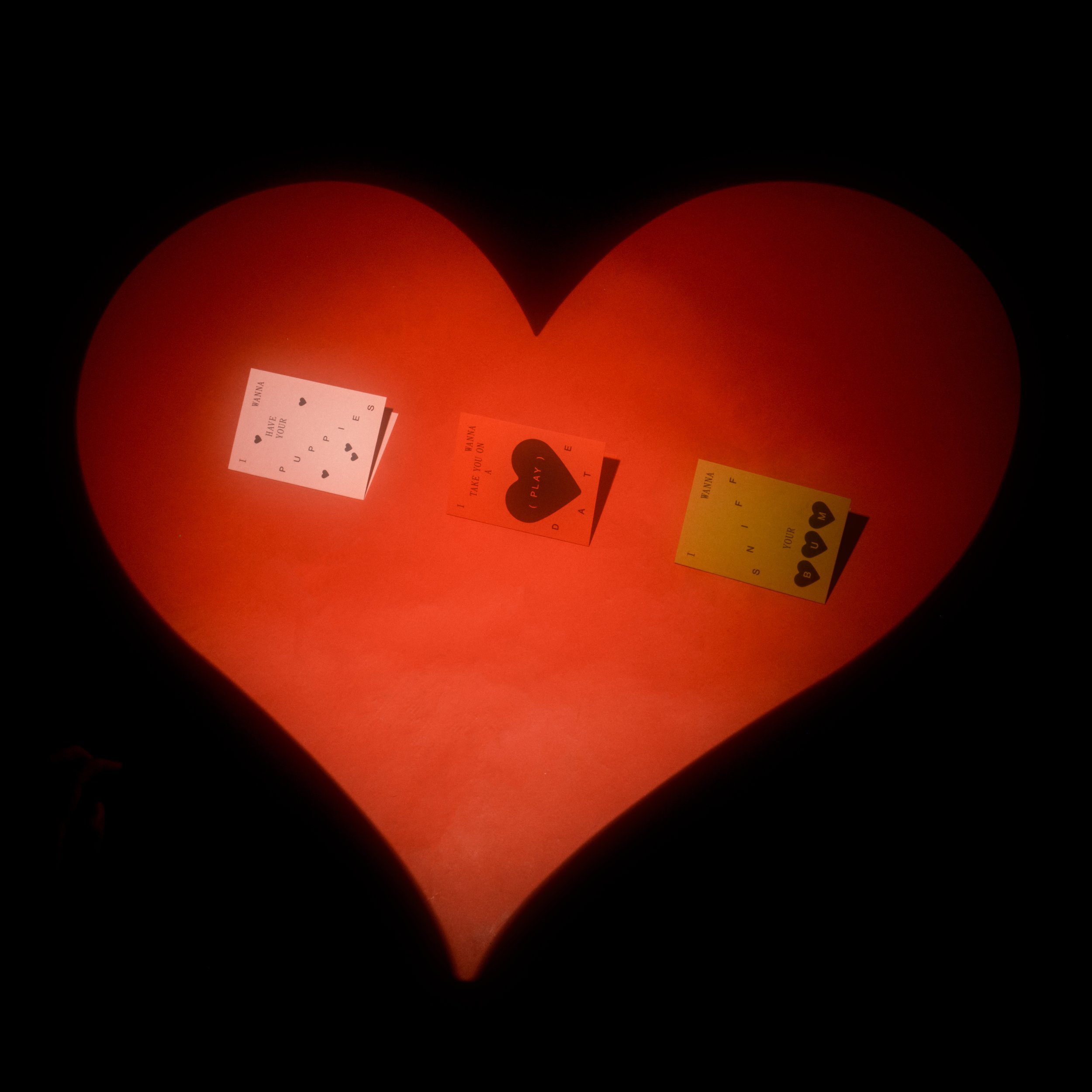 Untitled Capture8152-Edit.jpg